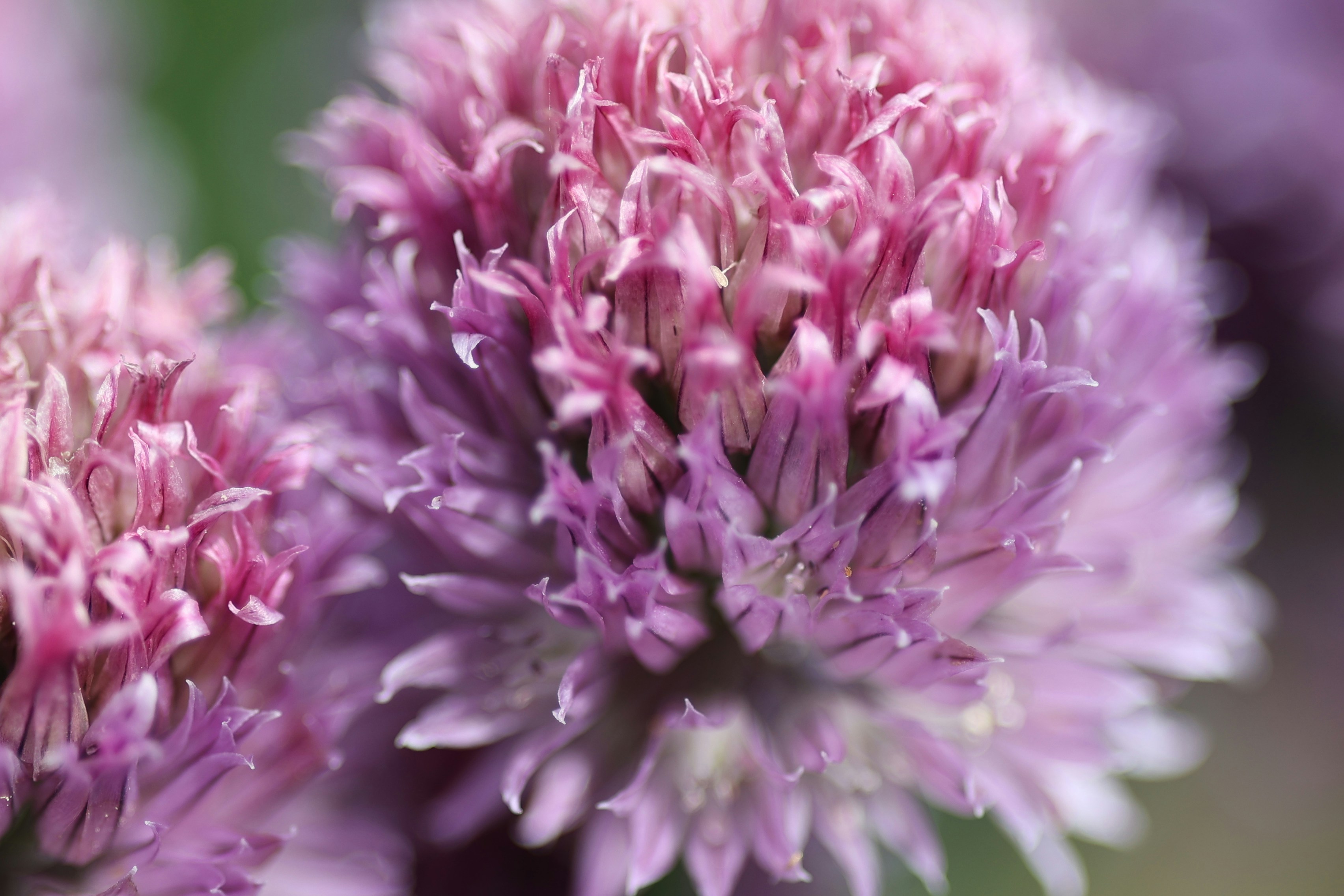 Photo by fotografstockholm