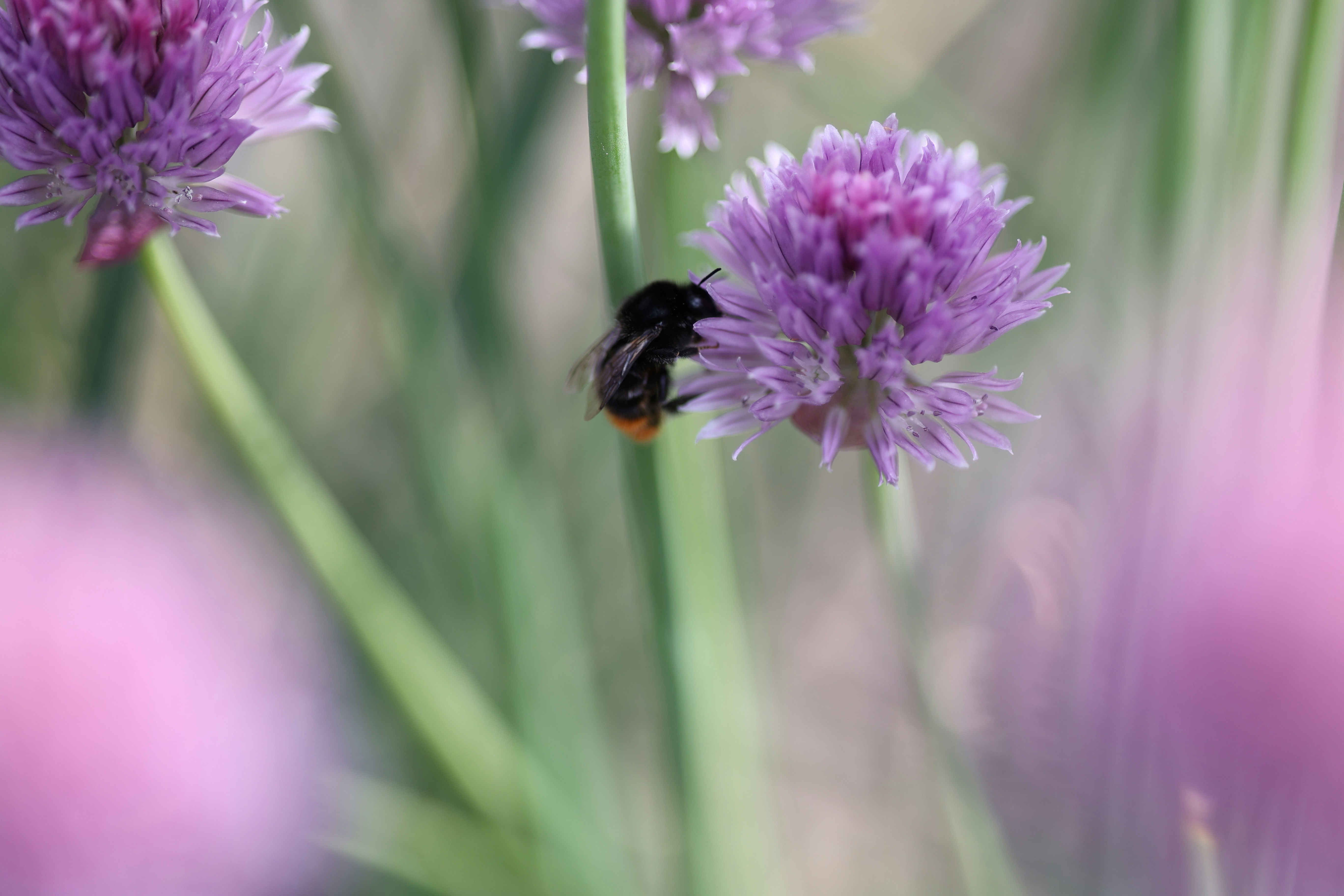 Photo by fotografstockholm