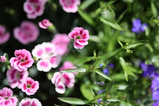 A vibrant garden scene featuring colorful decorative stakes planted among blooming flowers.
