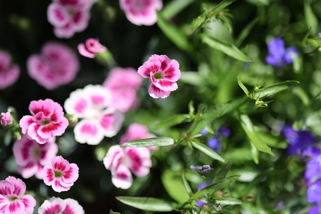 A vibrant garden scene featuring colorful decorative stakes among blooming flowers.