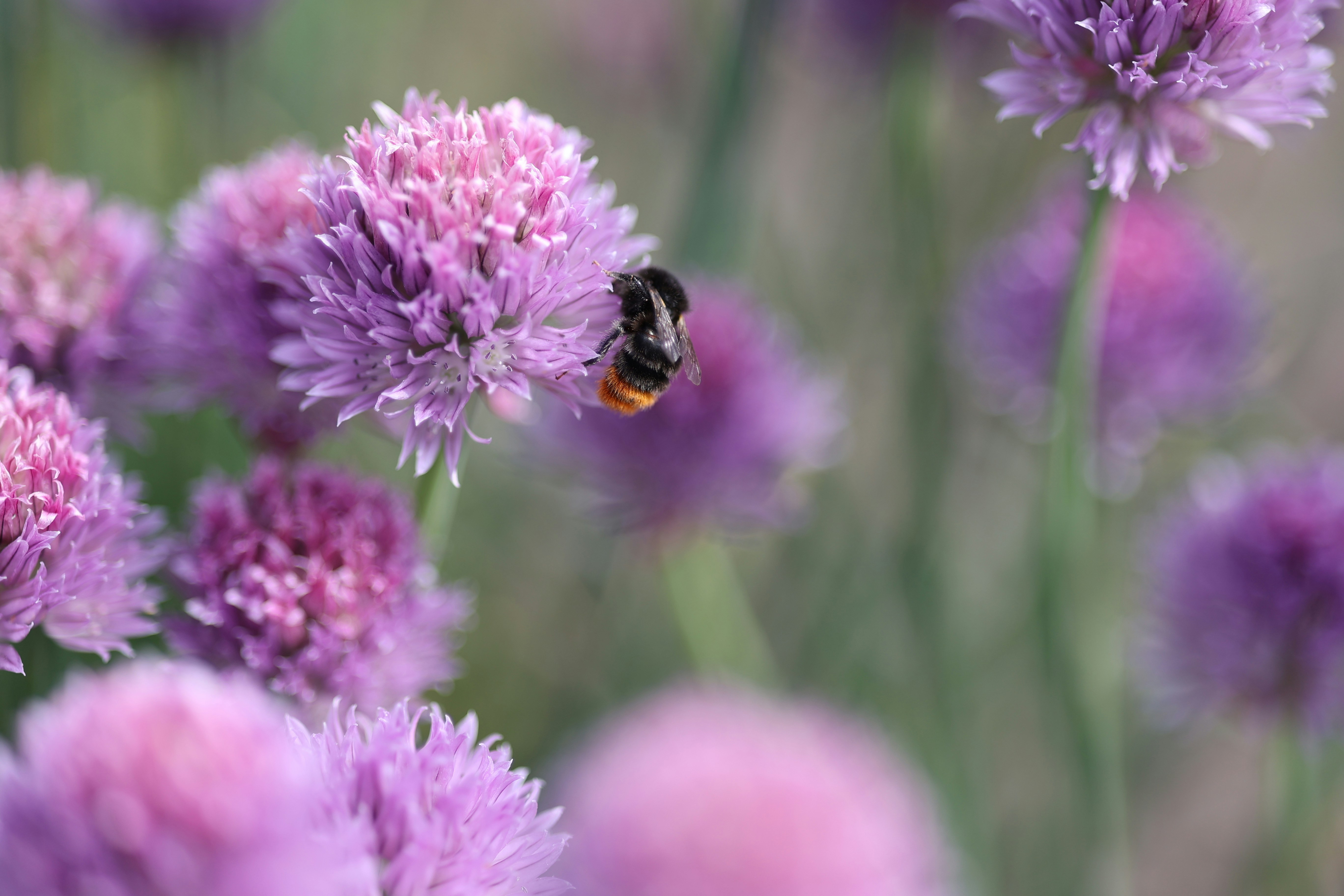 Photo by fotografstockholm