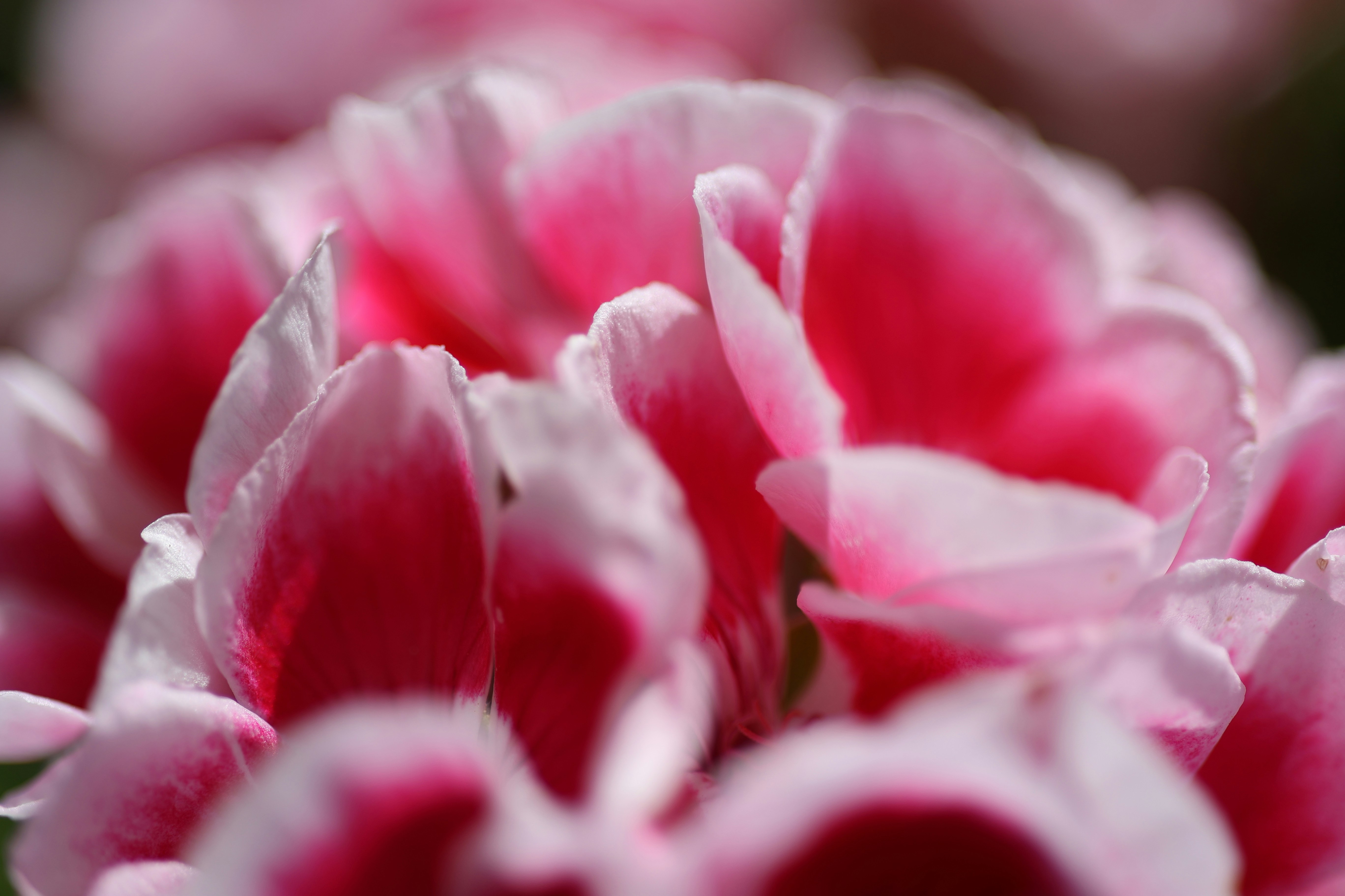 Photo by fotografstockholm