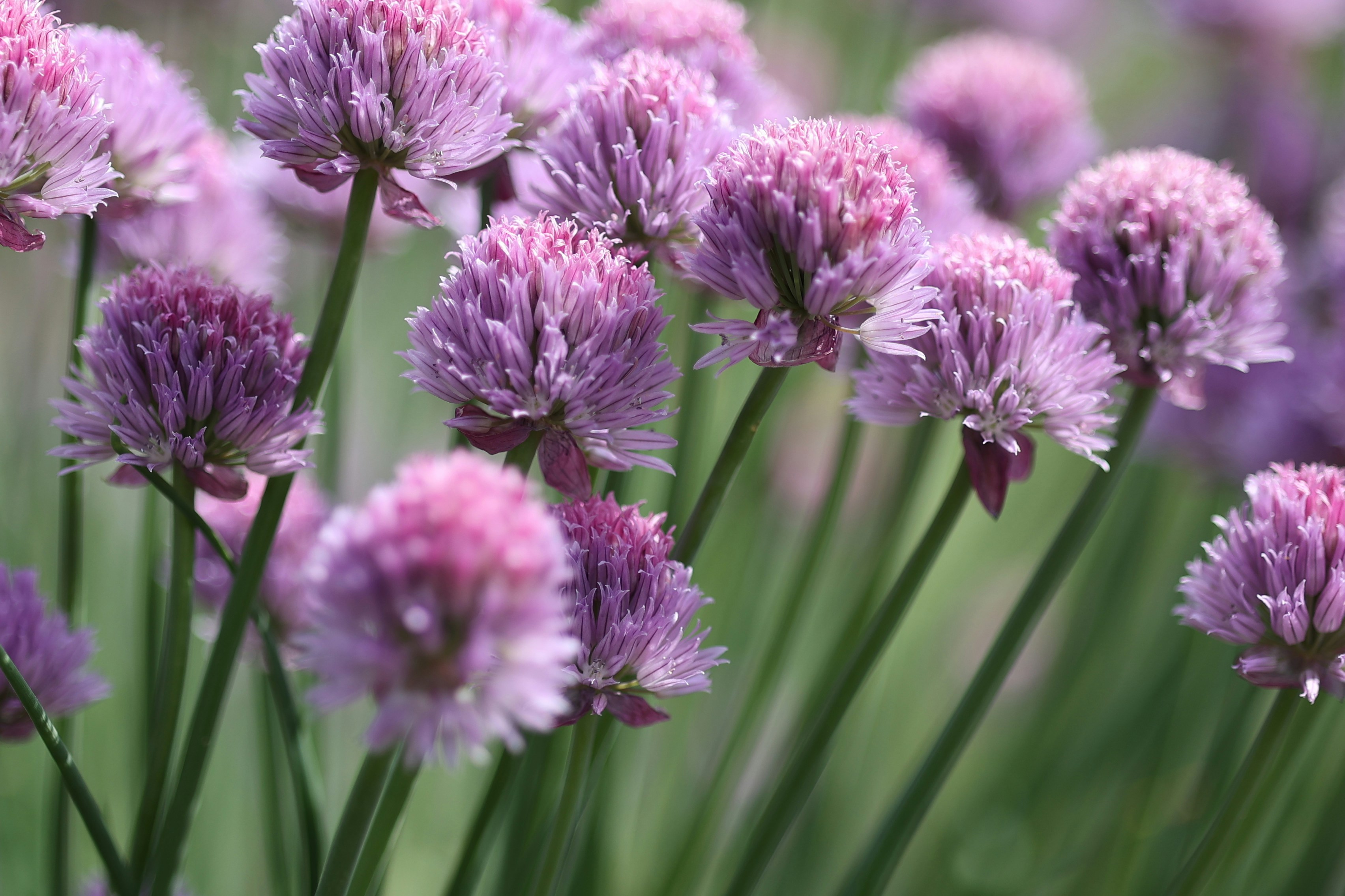 Photo by fotografstockholm