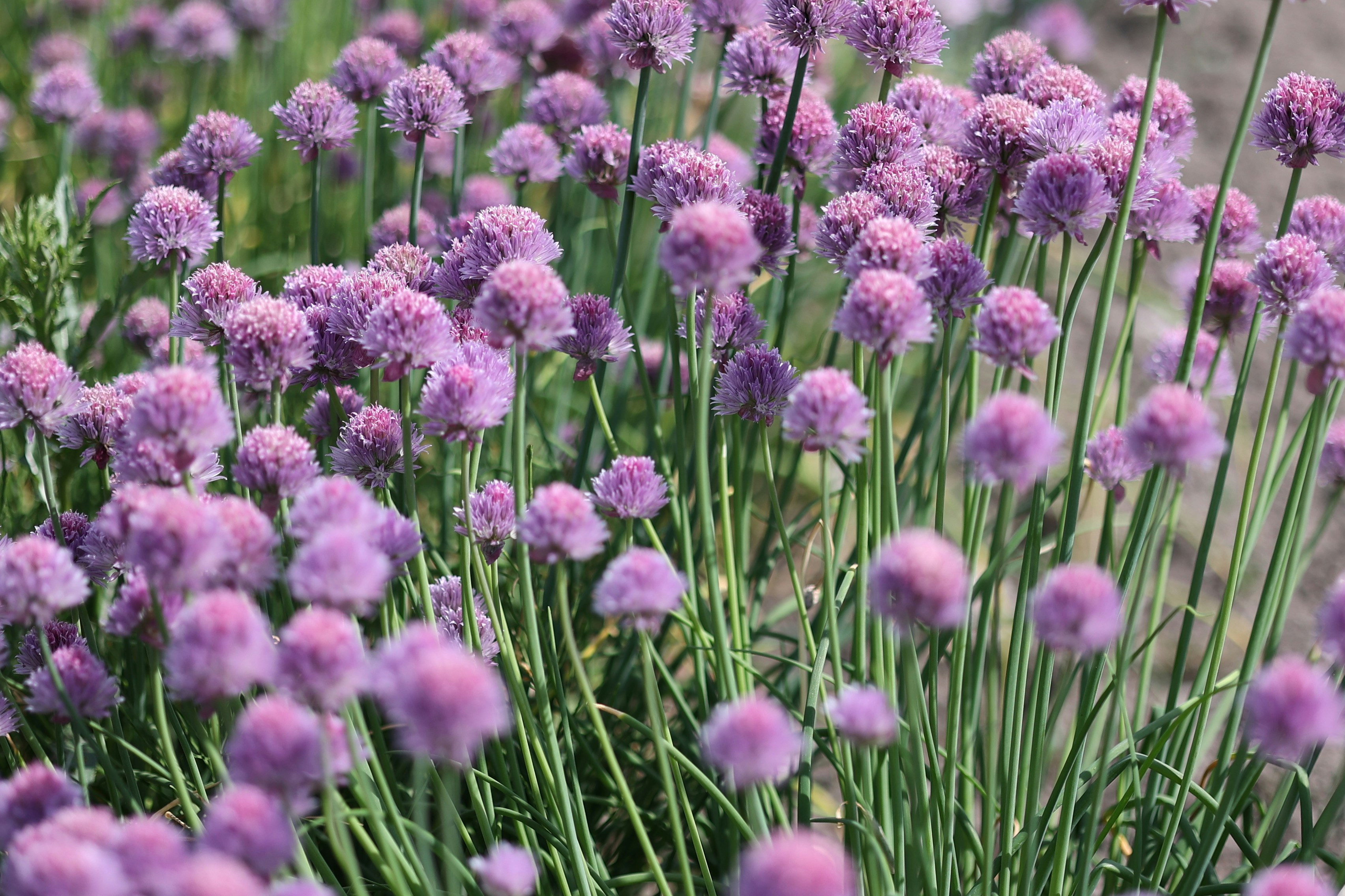 Photo by fotografstockholm