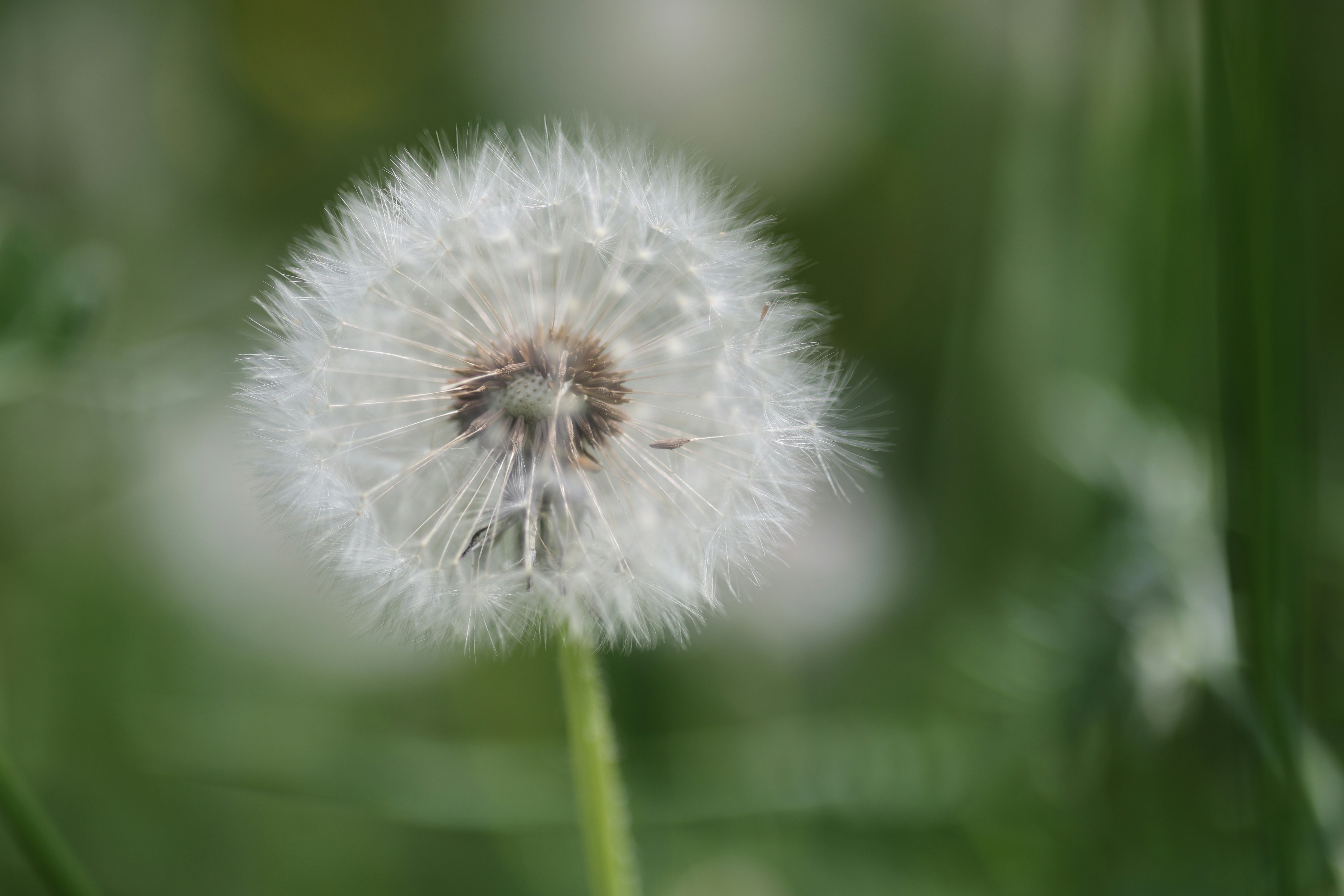 Photo by fotografstockholm