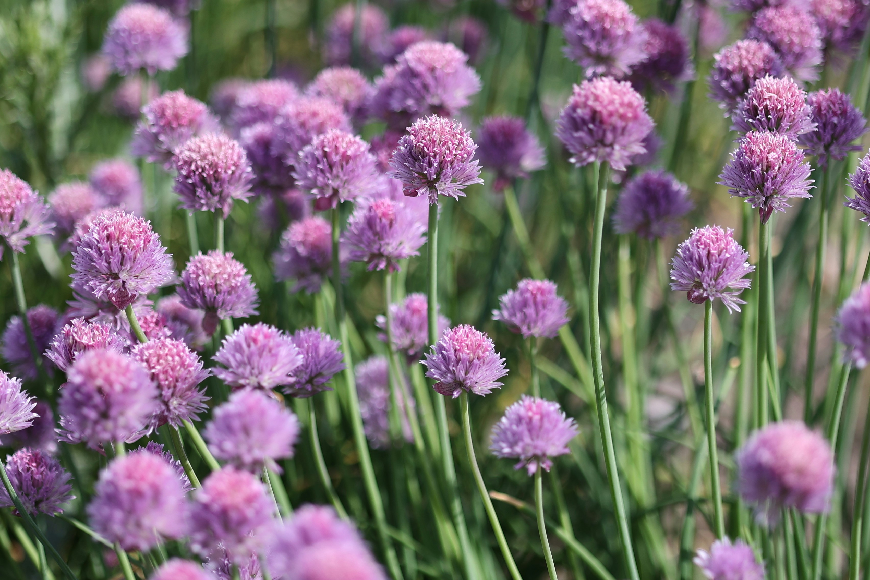 Photo by fotografstockholm