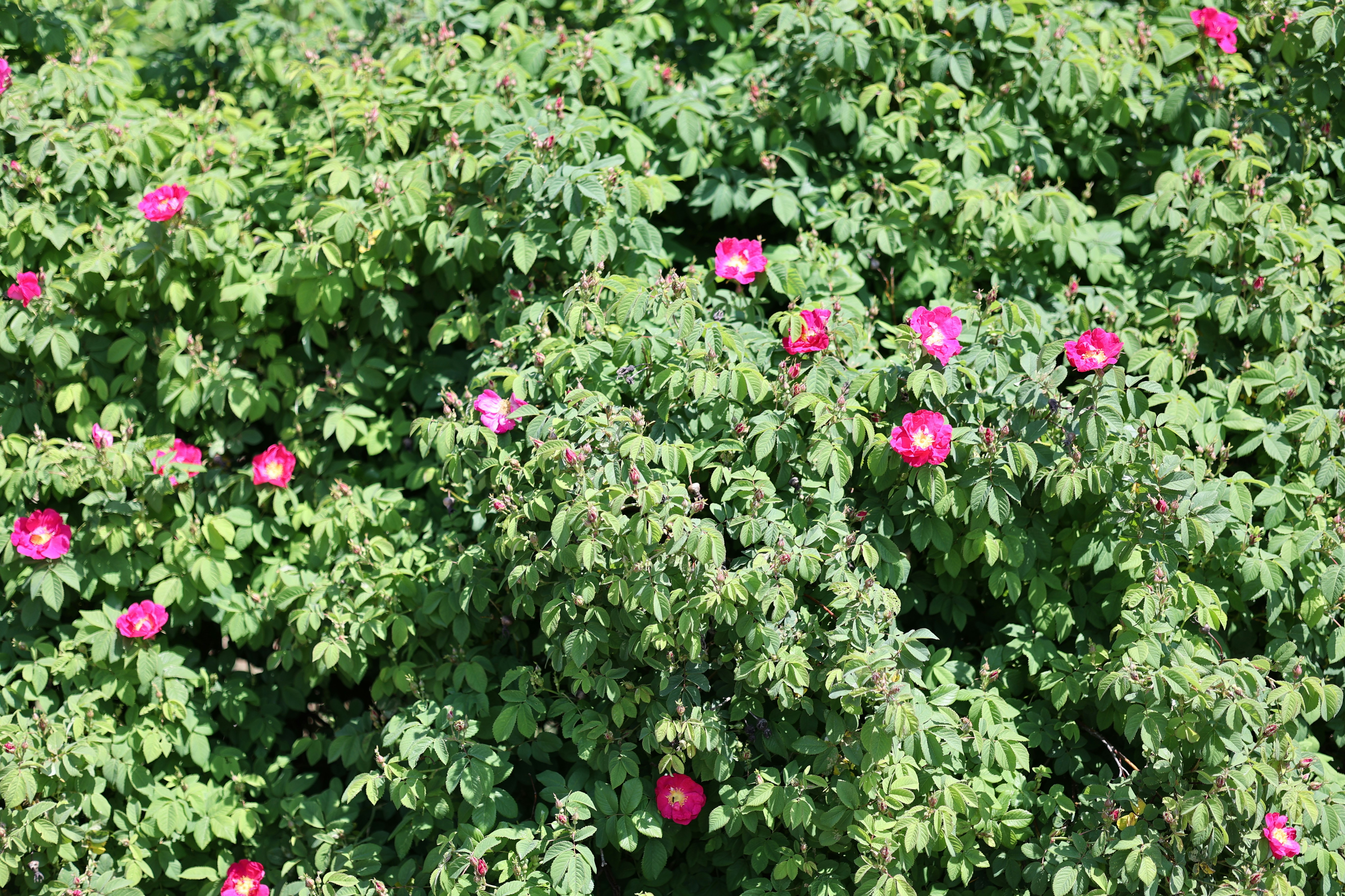 Photo by fotografstockholm