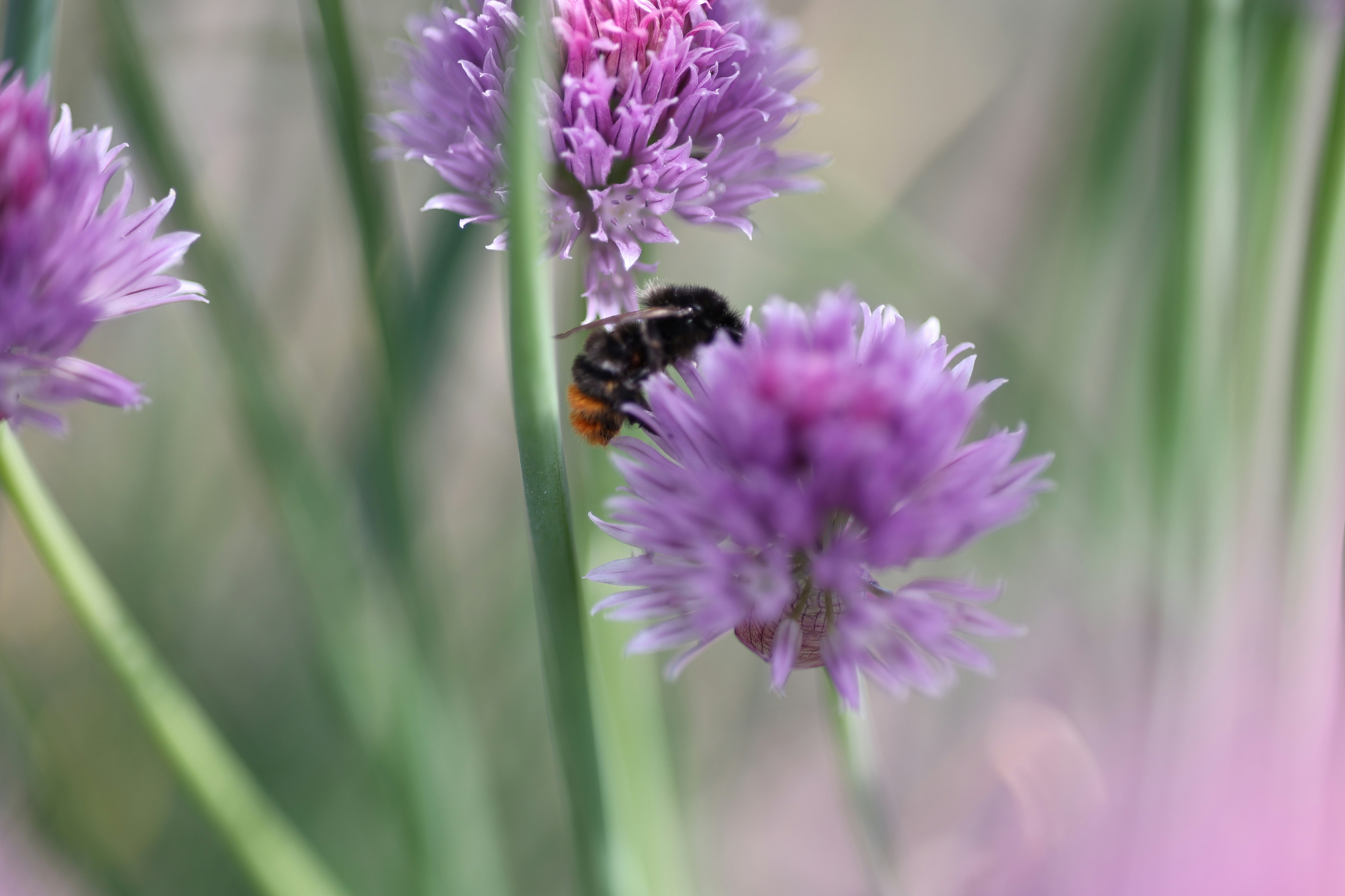 Photo by fotografstockholm