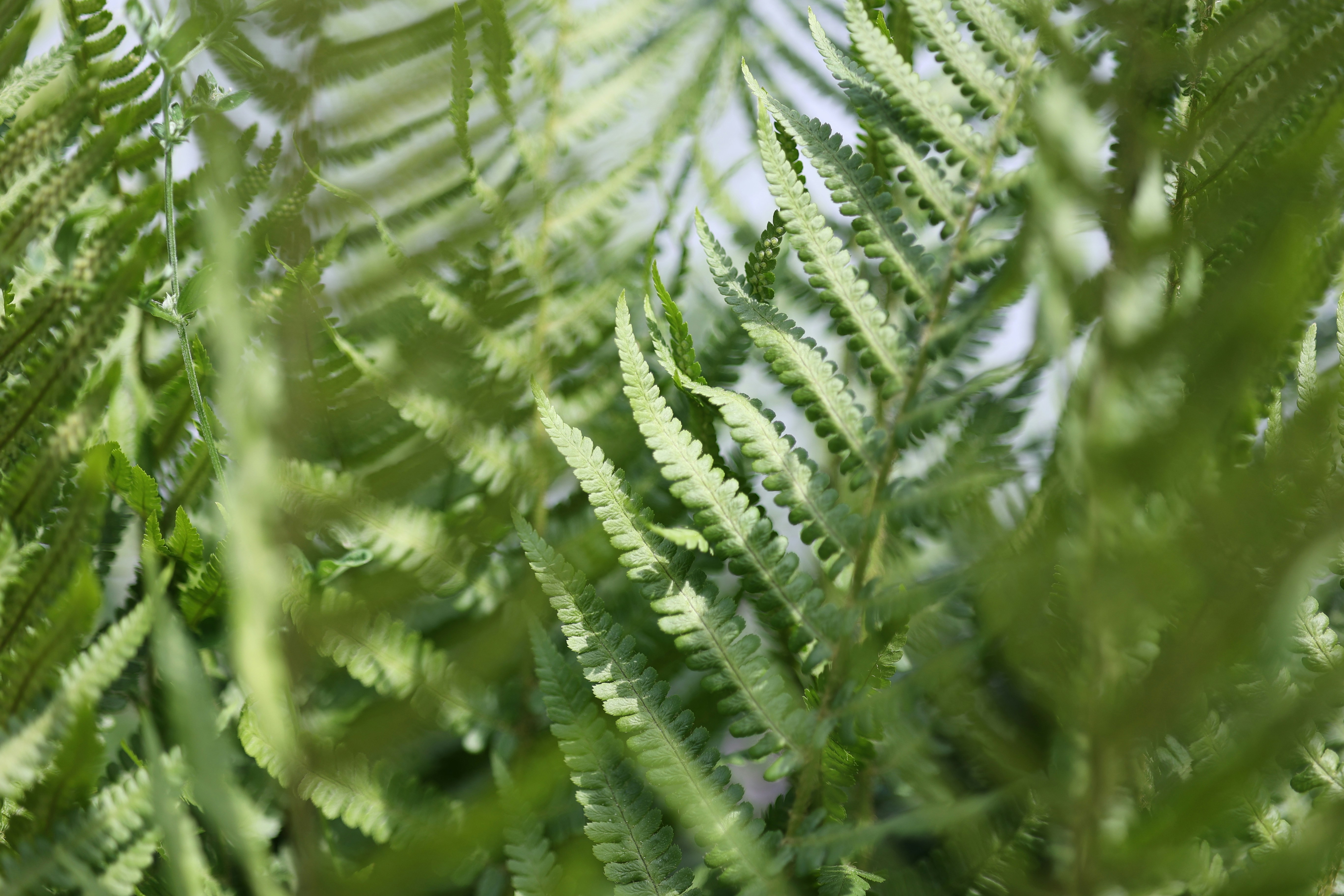 Photo by fotografstockholm