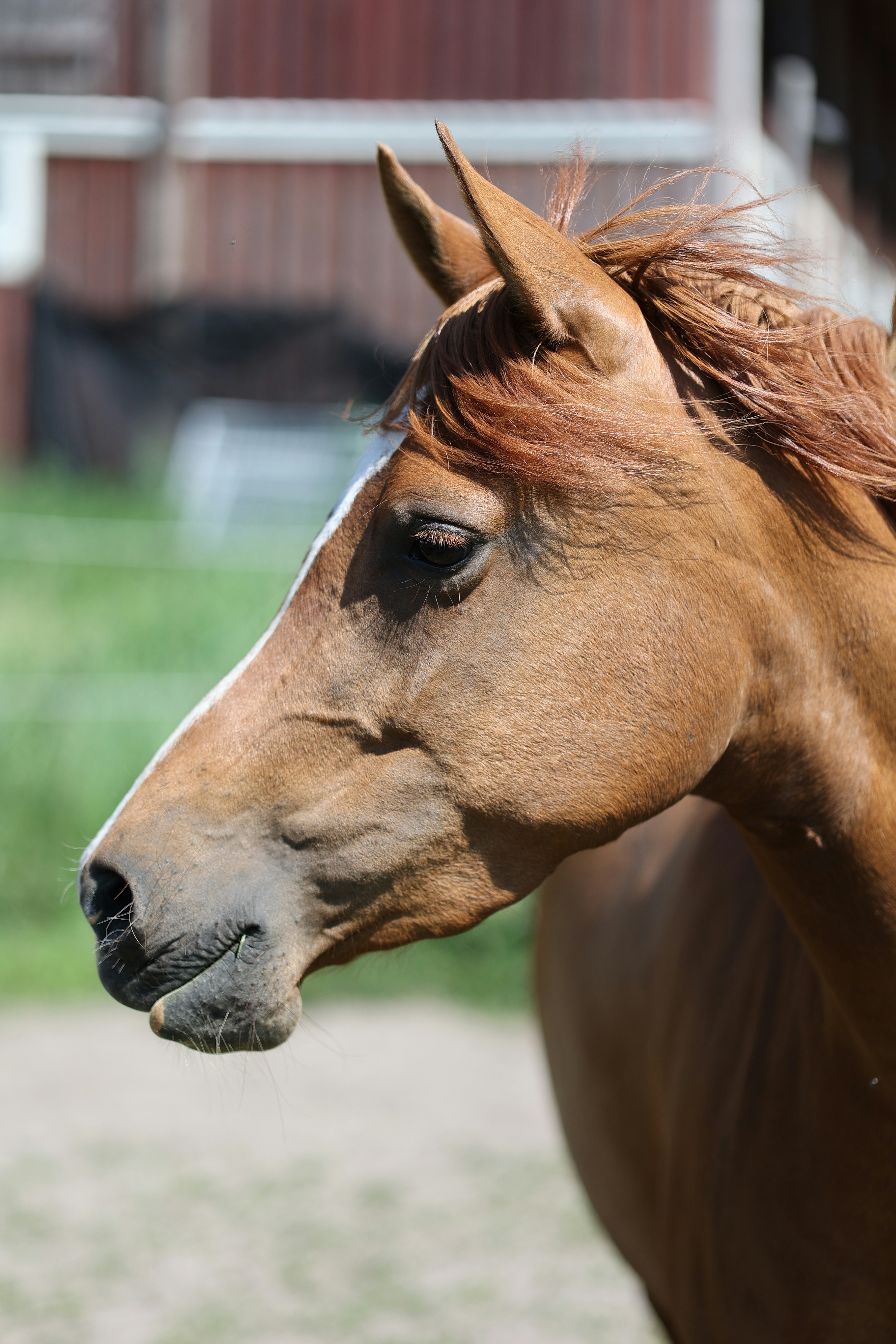 Photo by fotografstockholm