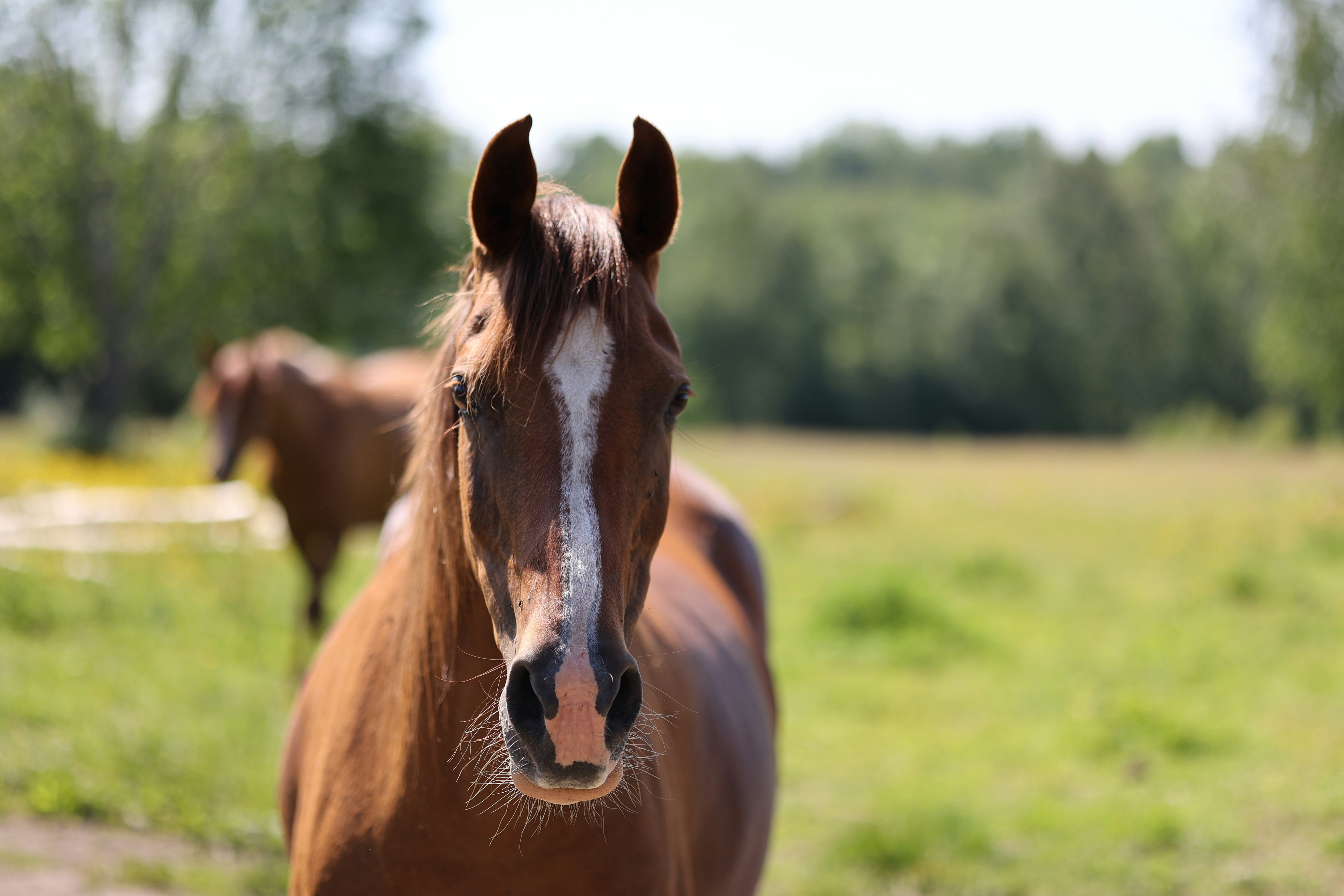 Photo by fotografstockholm