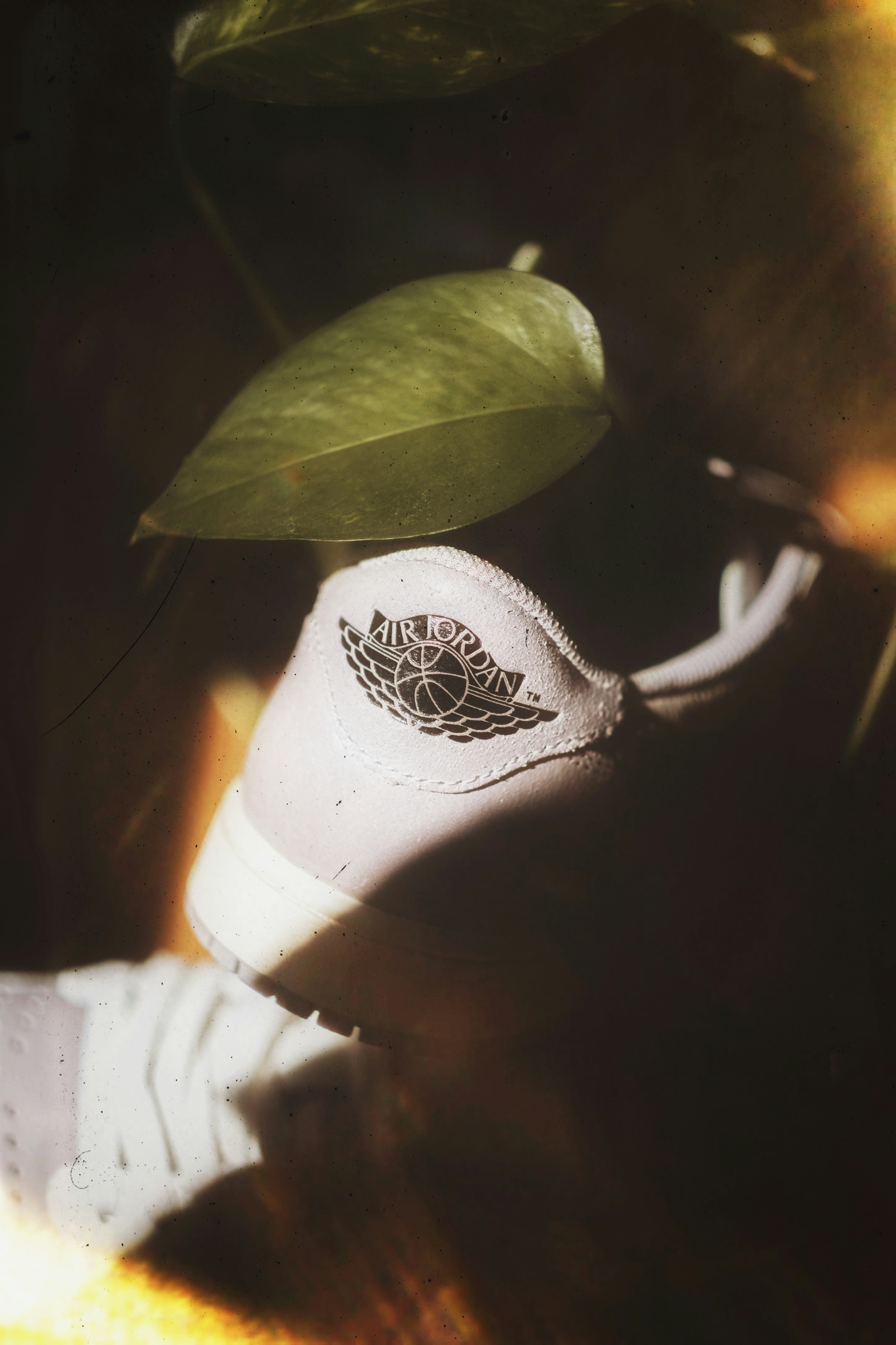 un par de zapatillas blancas con alas