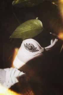 A close-up view of a white sneaker with the Air Jordan logo, partially covered by a green leaf, suggesting a blend of nature and urban style. The lighting creates a warm, serene atmosphere.