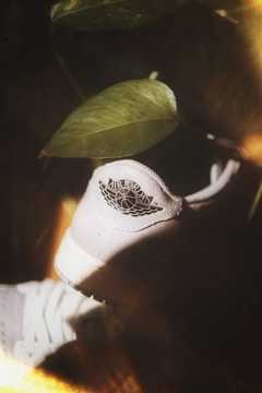 A close-up view of a white sneaker with the Air Jordan logo, partially covered by a green leaf, suggesting a blend of nature and urban style. The lighting creates a warm, serene atmosphere.
