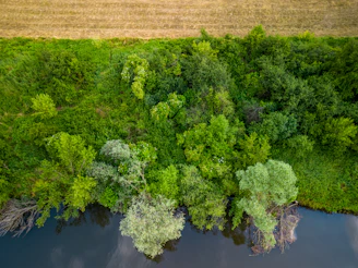 Aerial shot of a green lot bordered by a small river and forest.