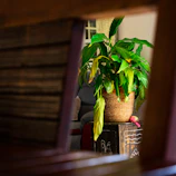 A large artificial palm plant in a woven basket pot adding greenery to a cozy living room corner.