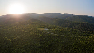 A serene view of open land where Veilwood Village will soon rise, bathed in golden sunlight.