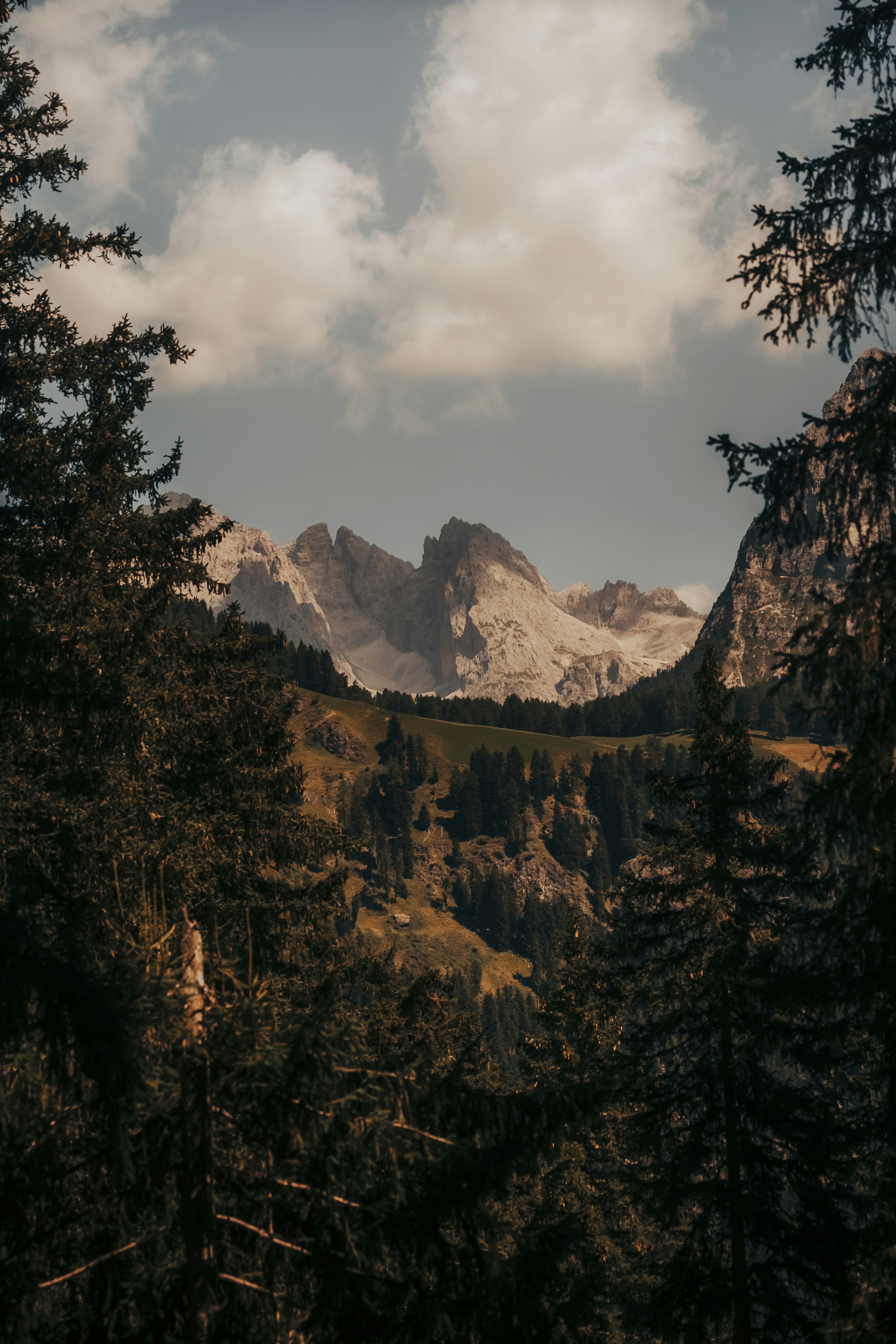 Photo by bryanbrittos