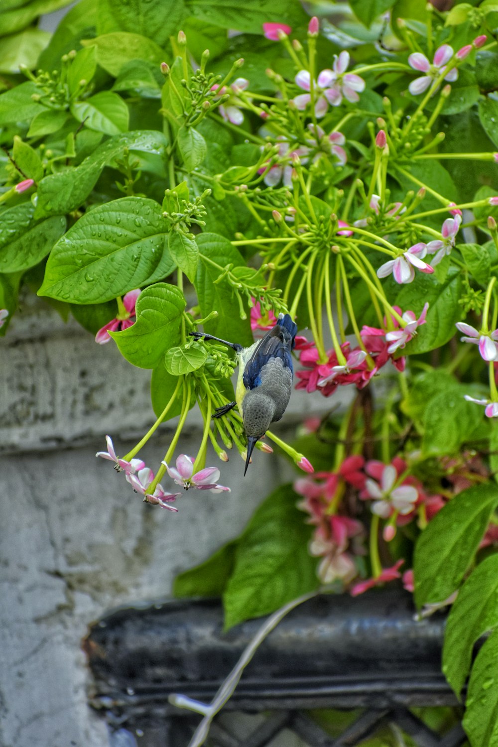 a bird sitting on a branch of a plant