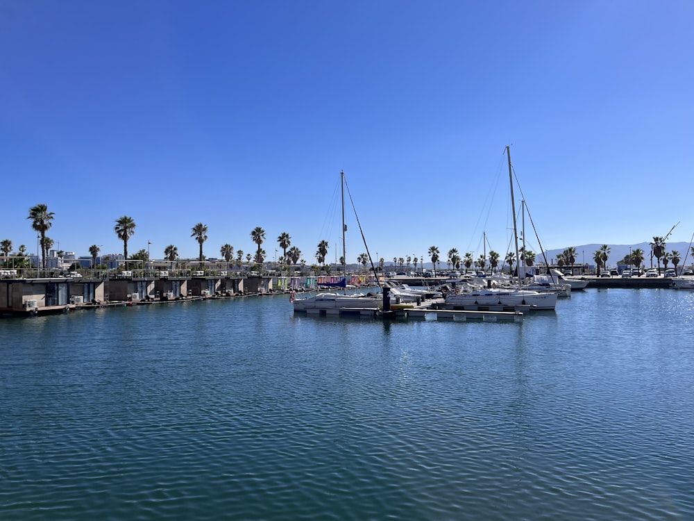 a group of boats floating on top of a body of water