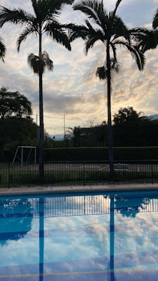 Tall palm trees are silhouetted against a sky filled with wispy clouds, reflected in a clear swimming pool in the foreground. A wrought iron fence separates the pool area from a grassy field and a soccer goal can be seen in the background.