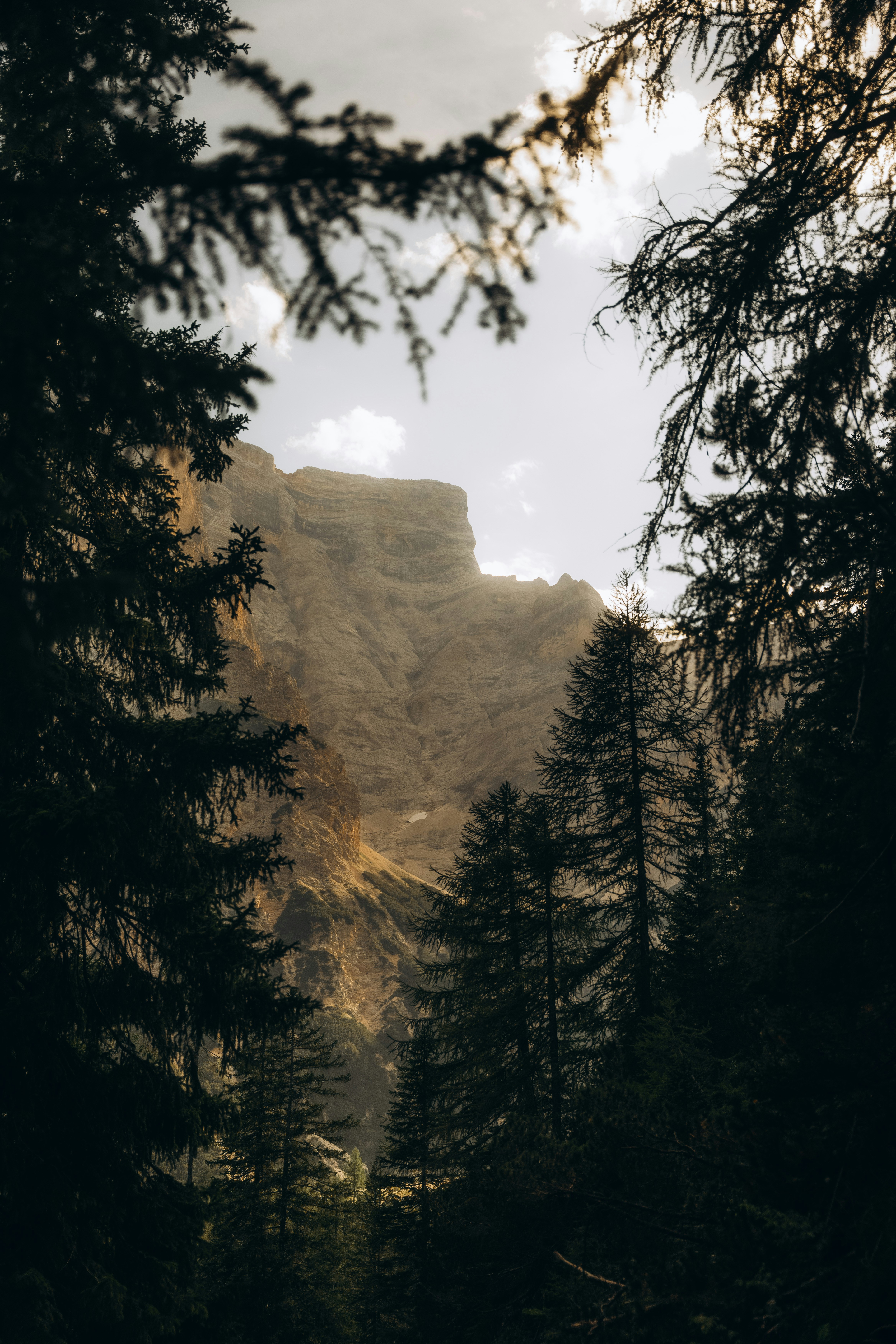 Photo by bryanbrittos