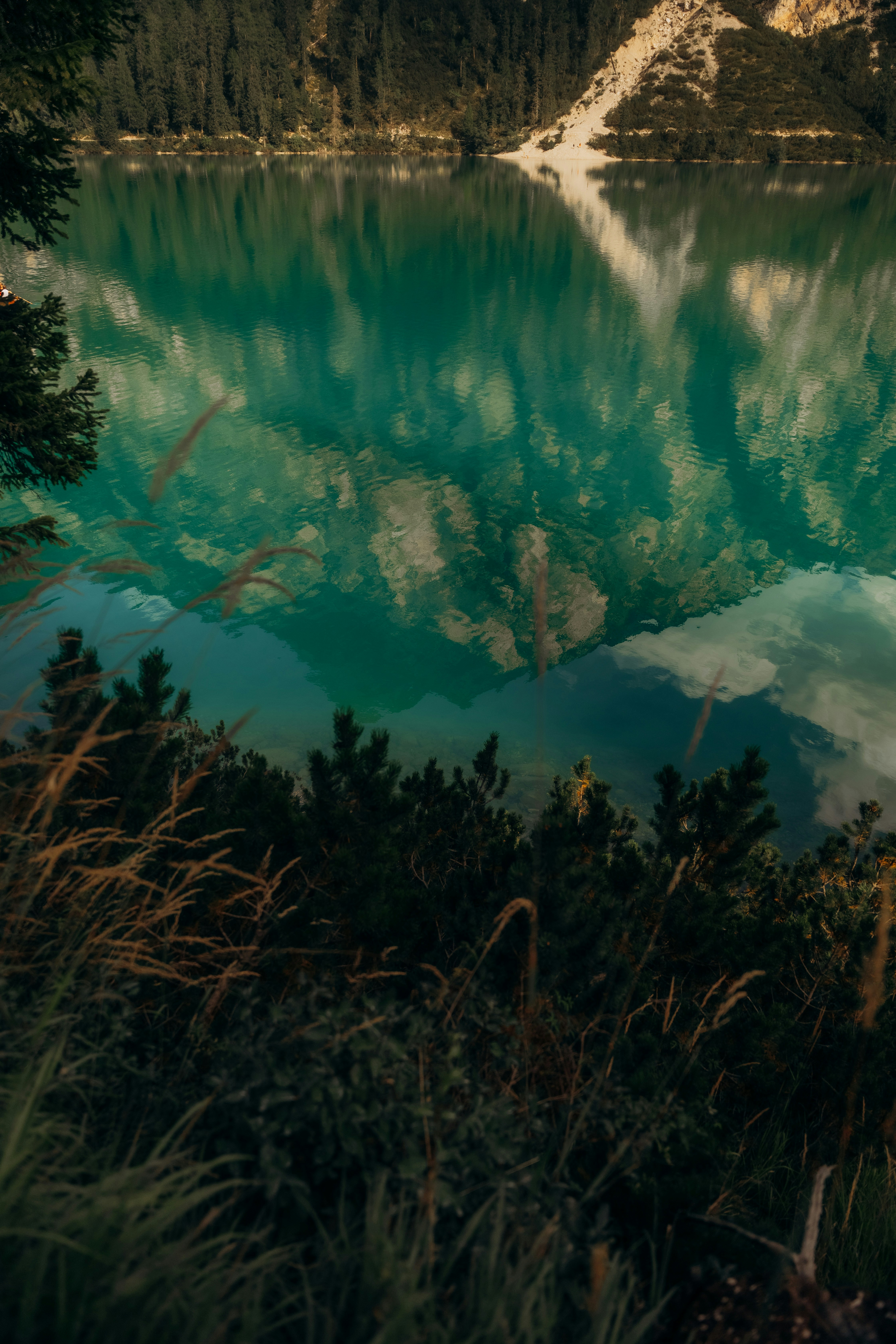 Photo by bryanbrittos