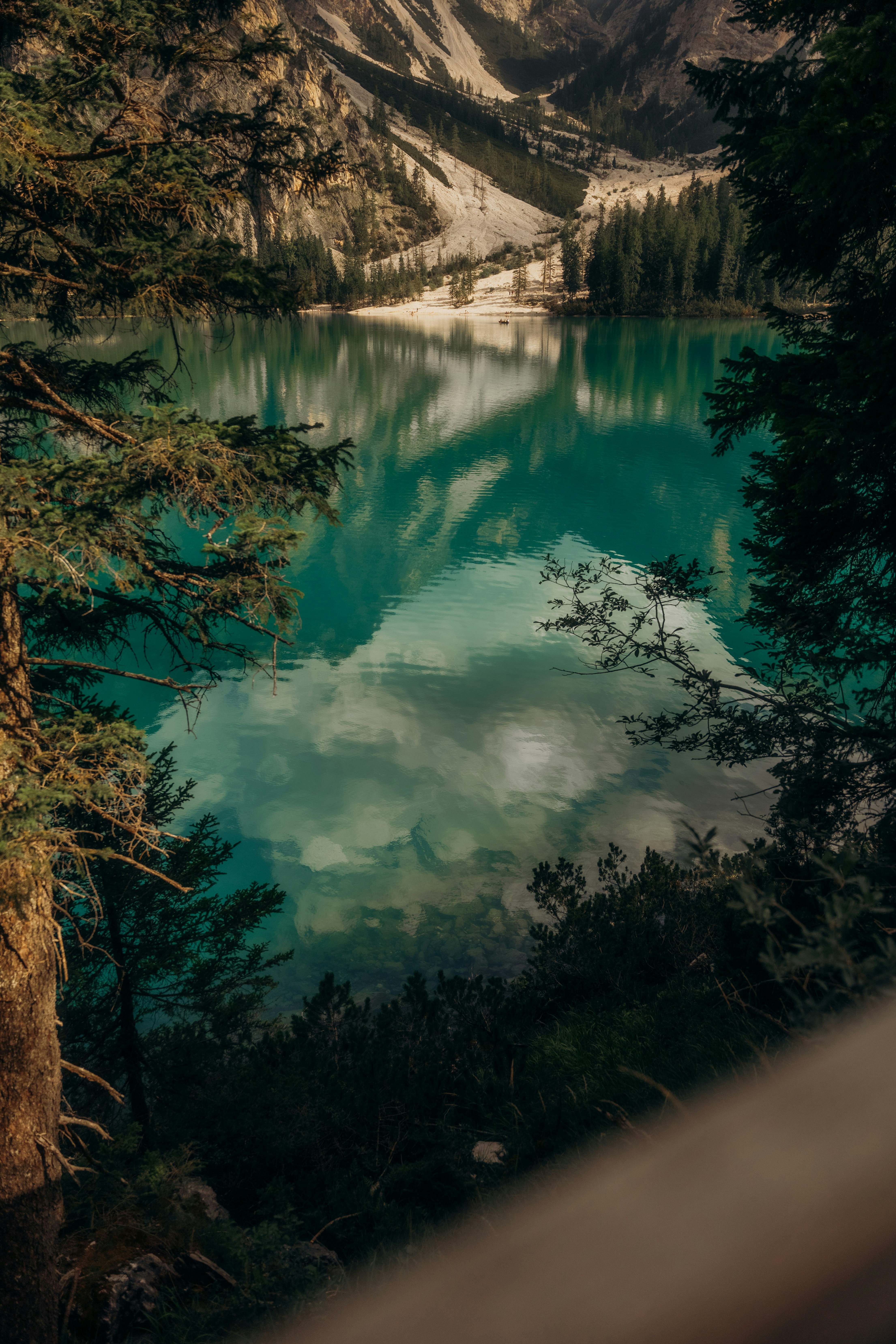 Photo by bryanbrittos