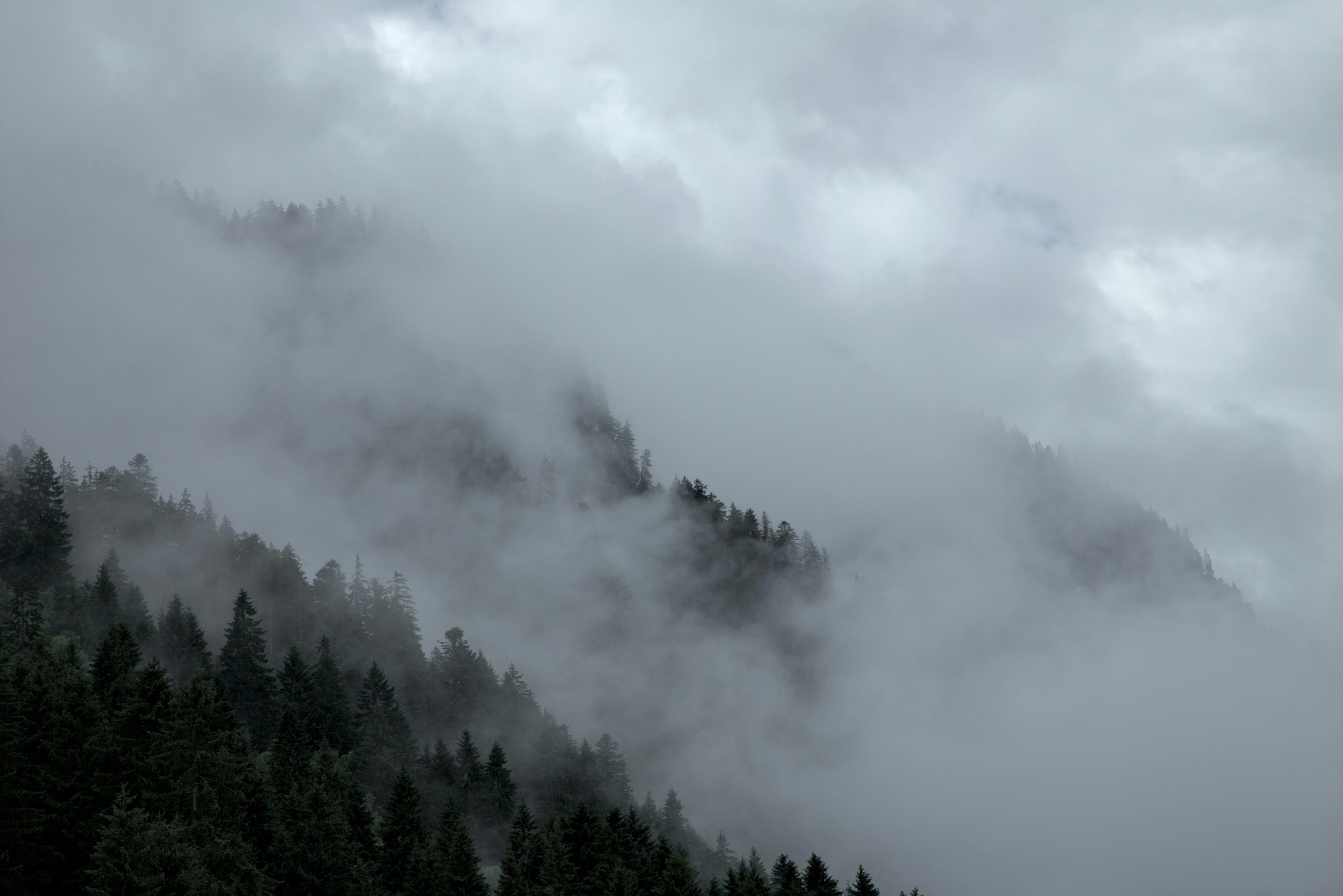 Photo by vulpyr_photography