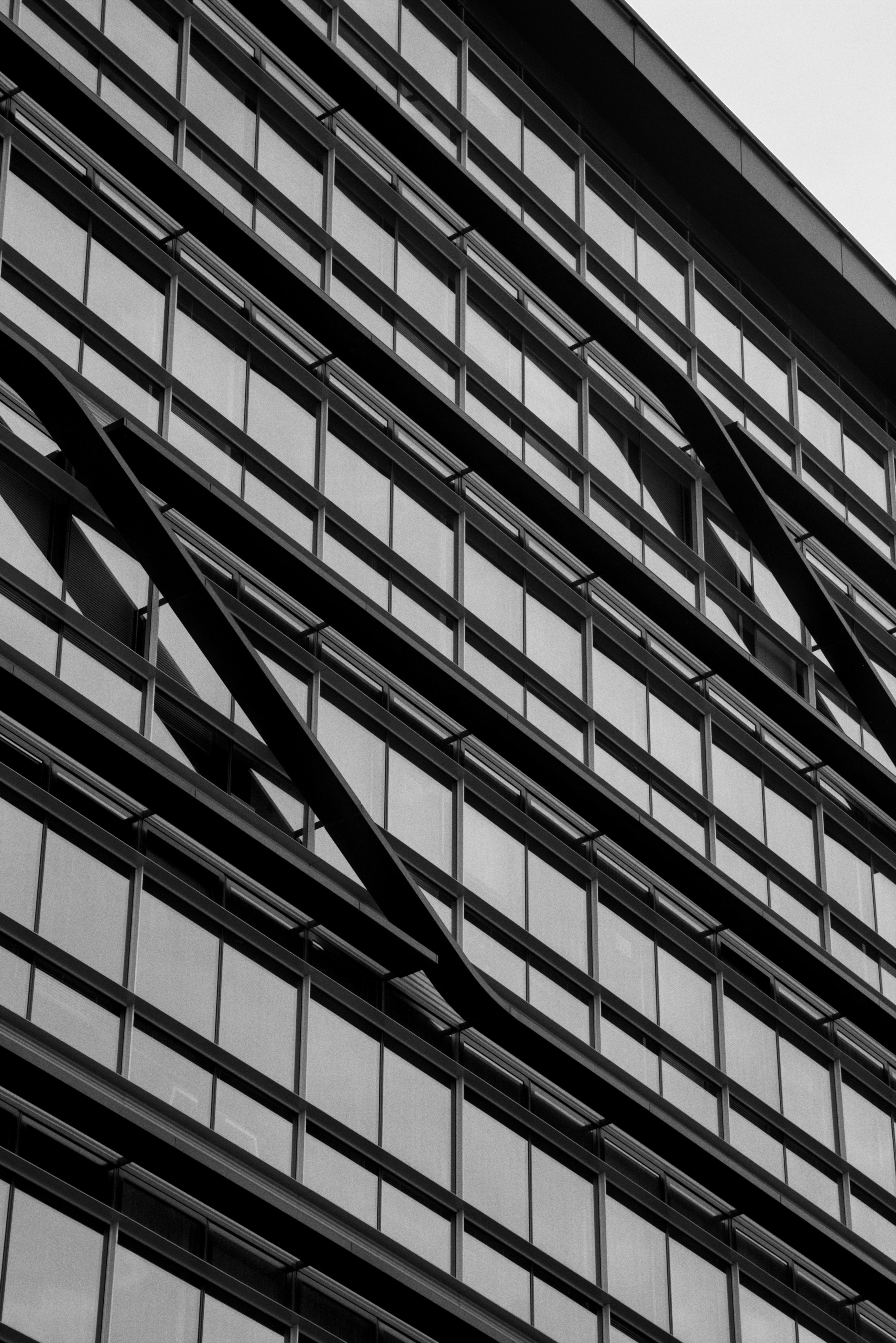 Photo by vulpyr_photography