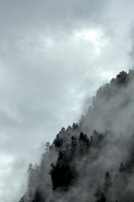 a black and white photo of a foggy mountain
