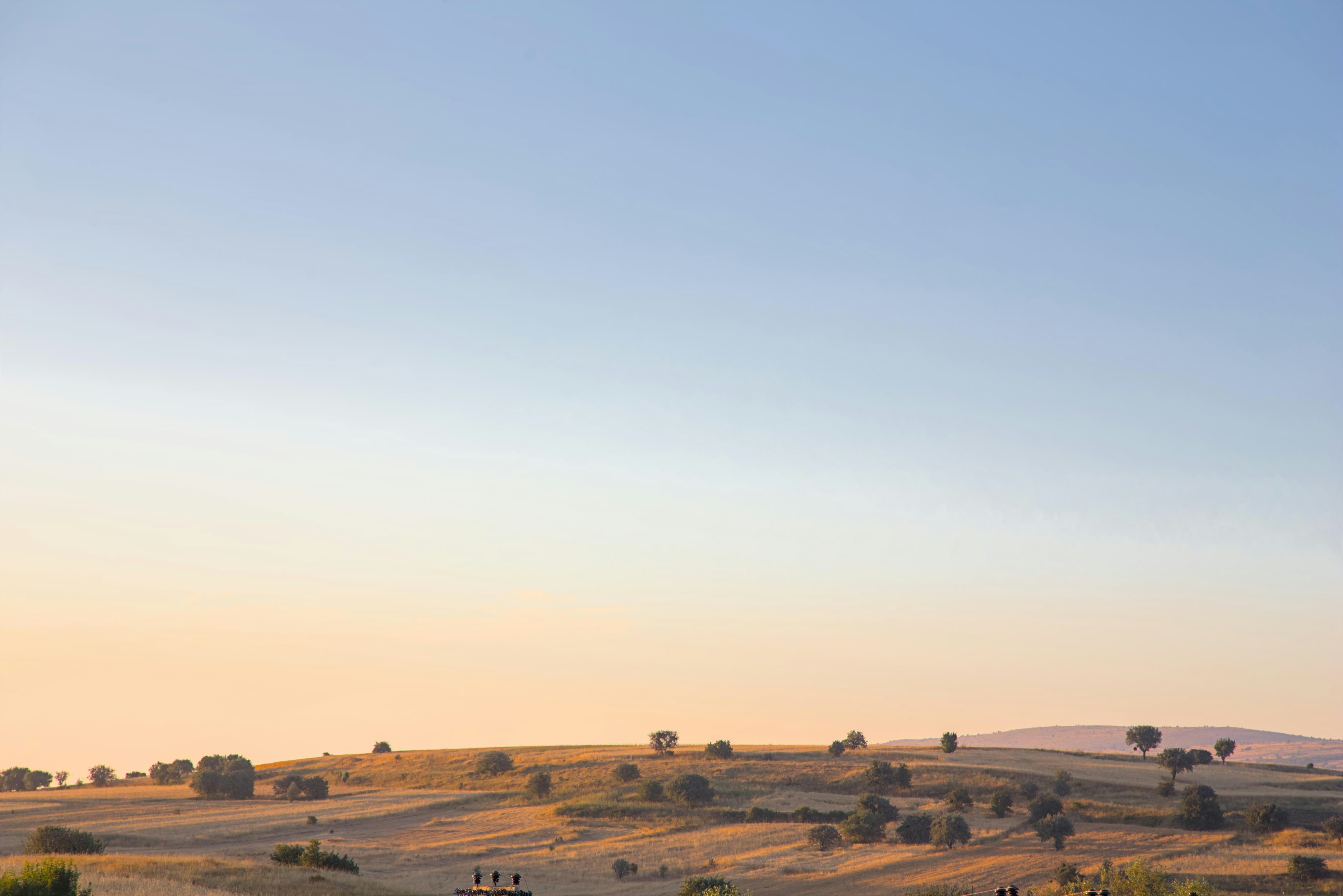 Photo by vulpyr_photography