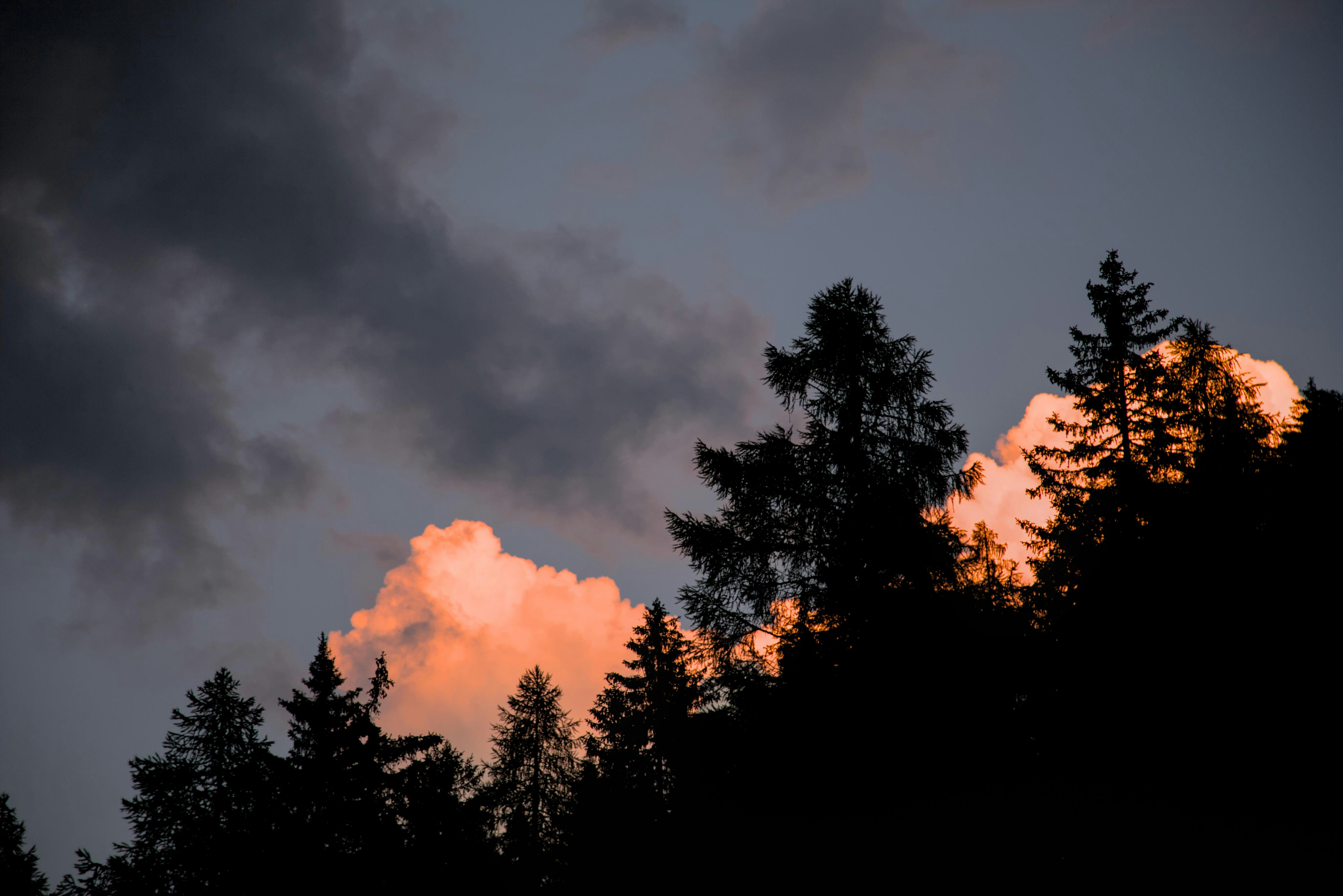 Photo by vulpyr_photography