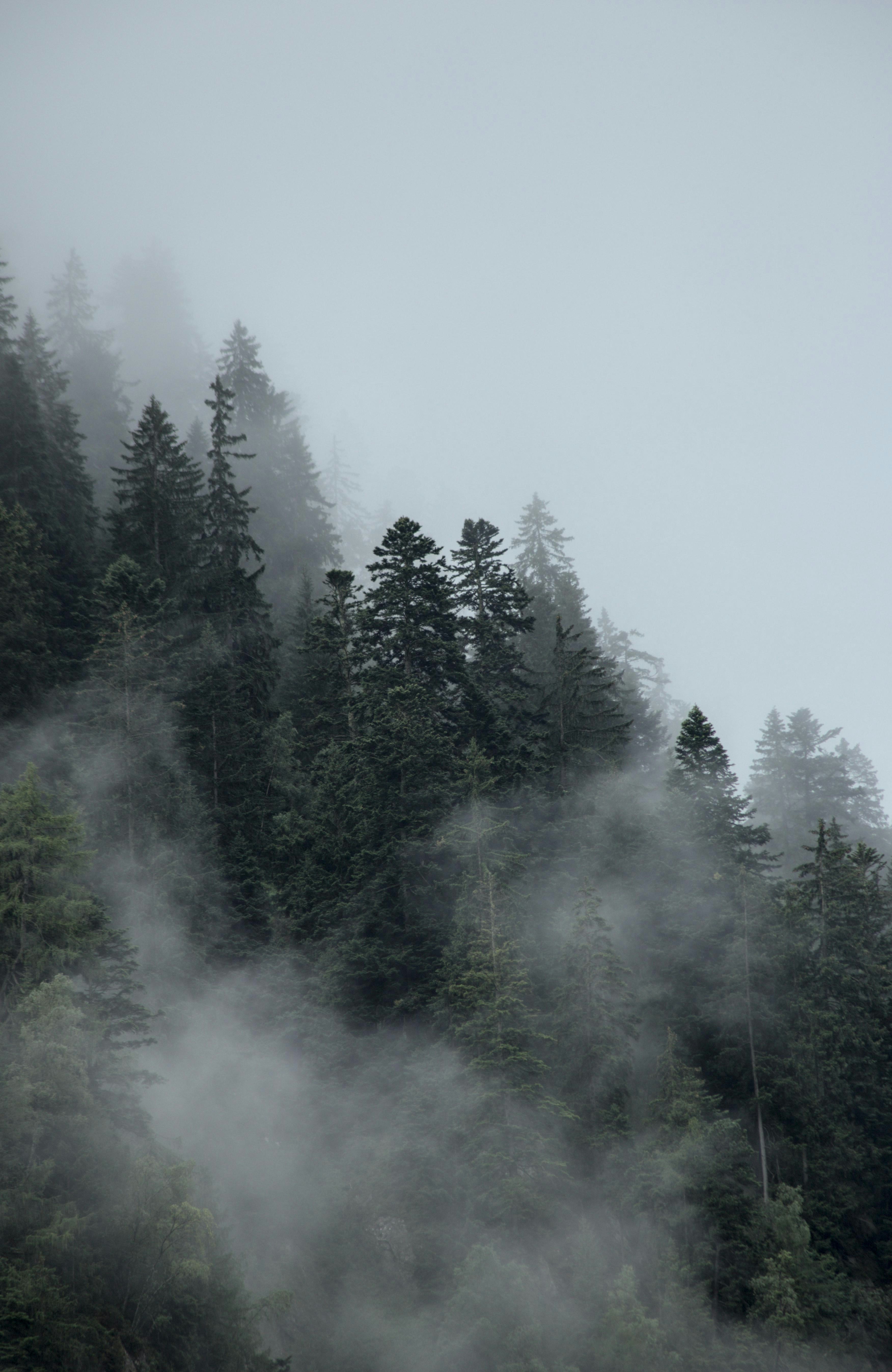 Photo by vulpyr_photography