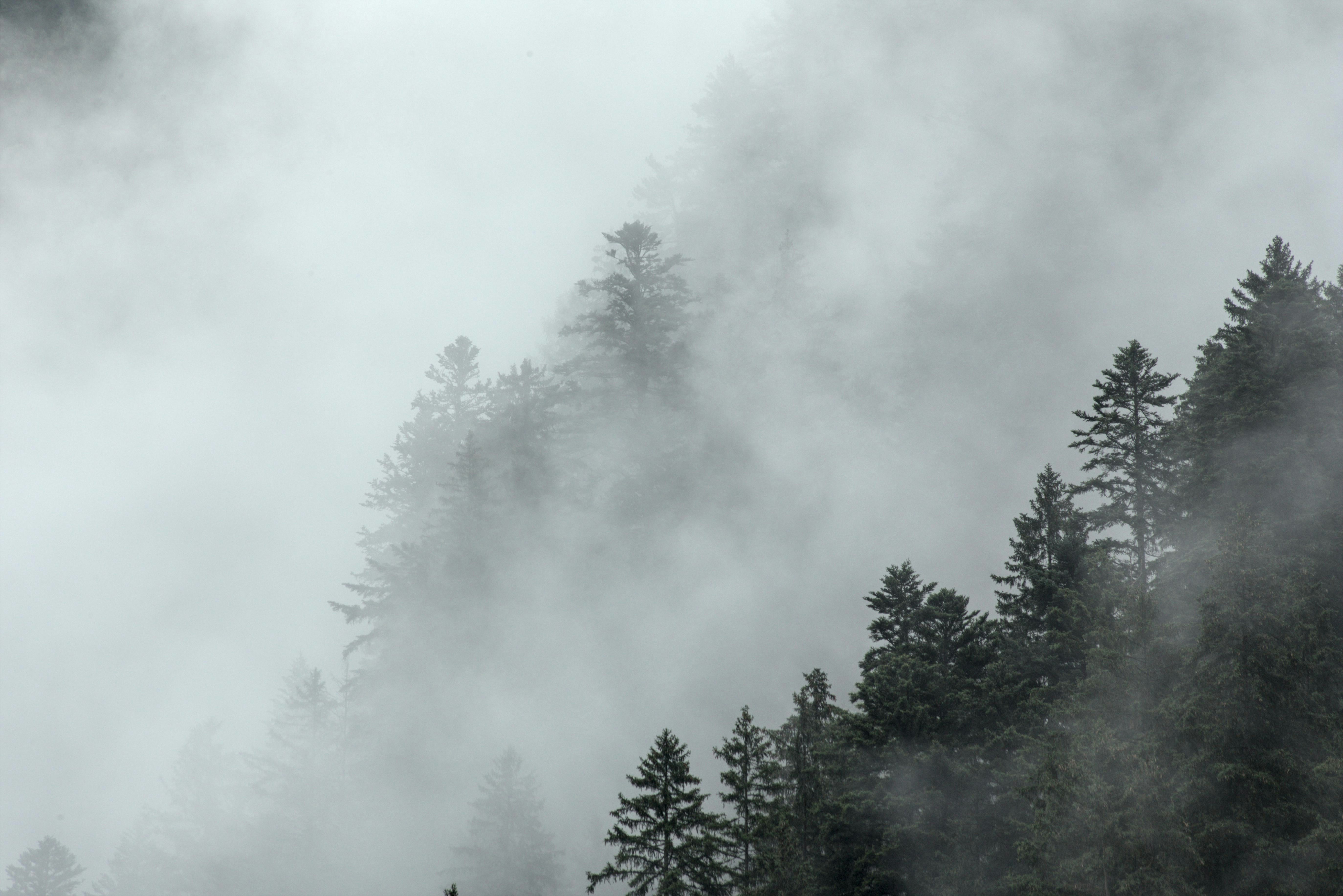 Photo by vulpyr_photography