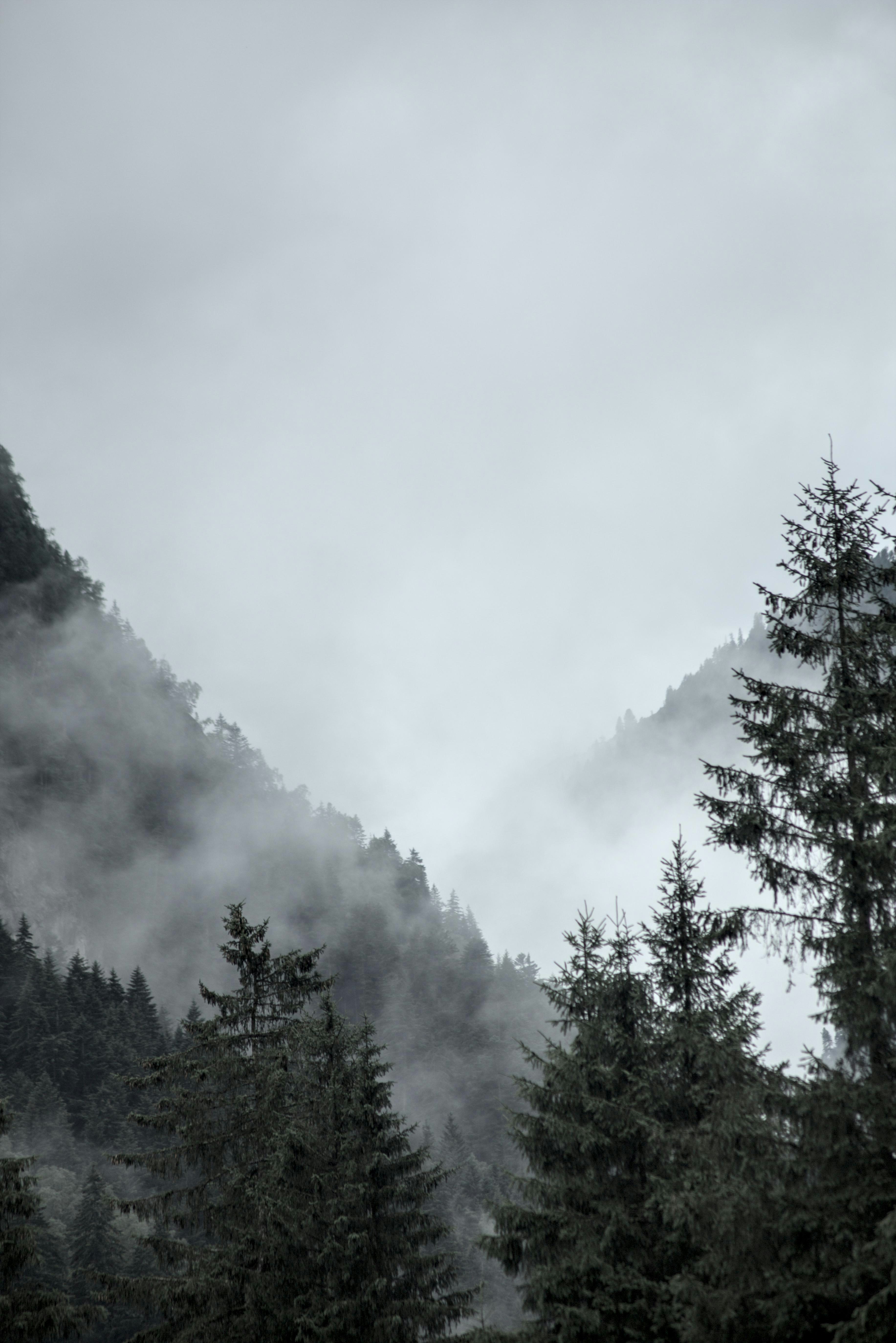 Photo by vulpyr_photography