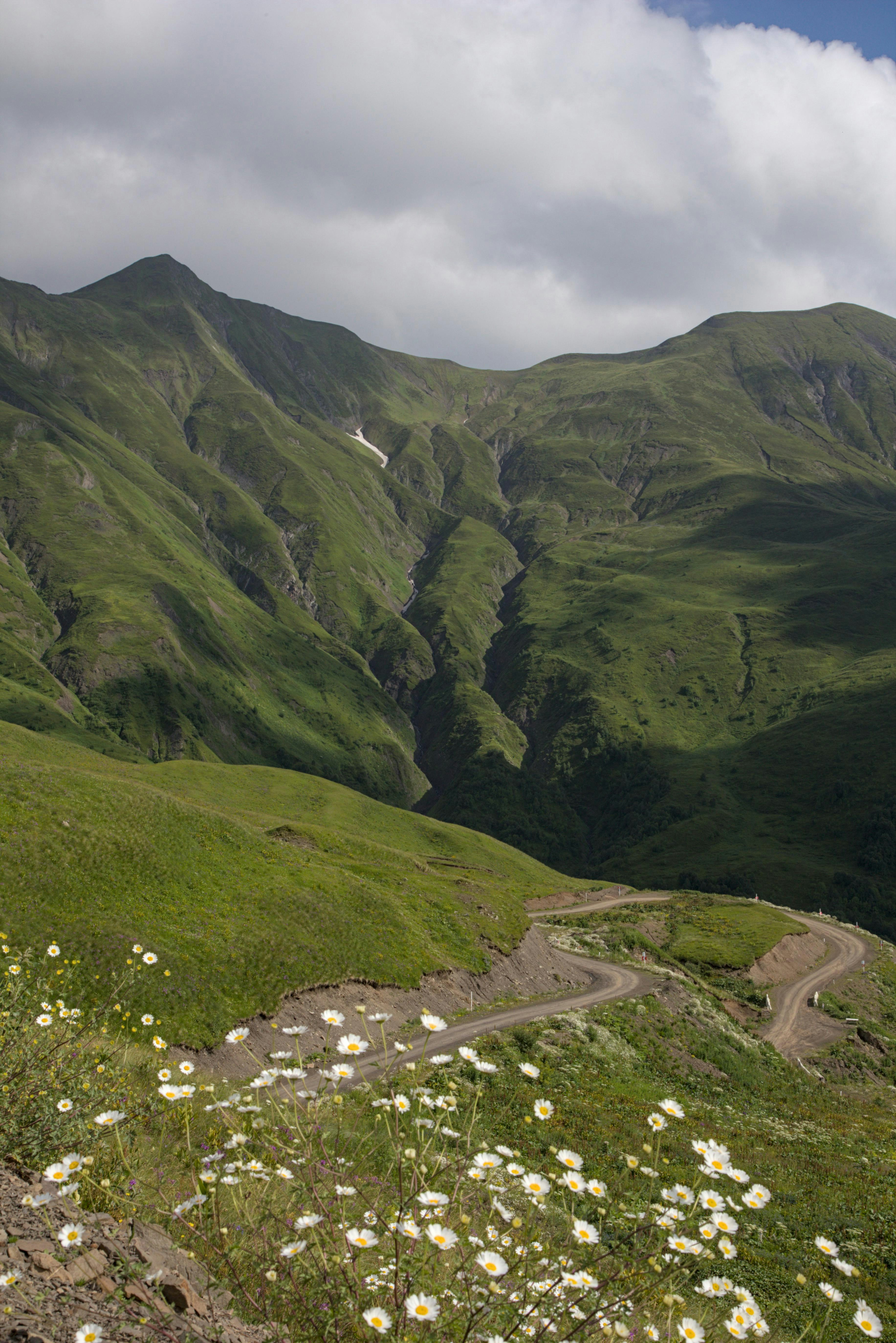 Photo by vulpyr_photography