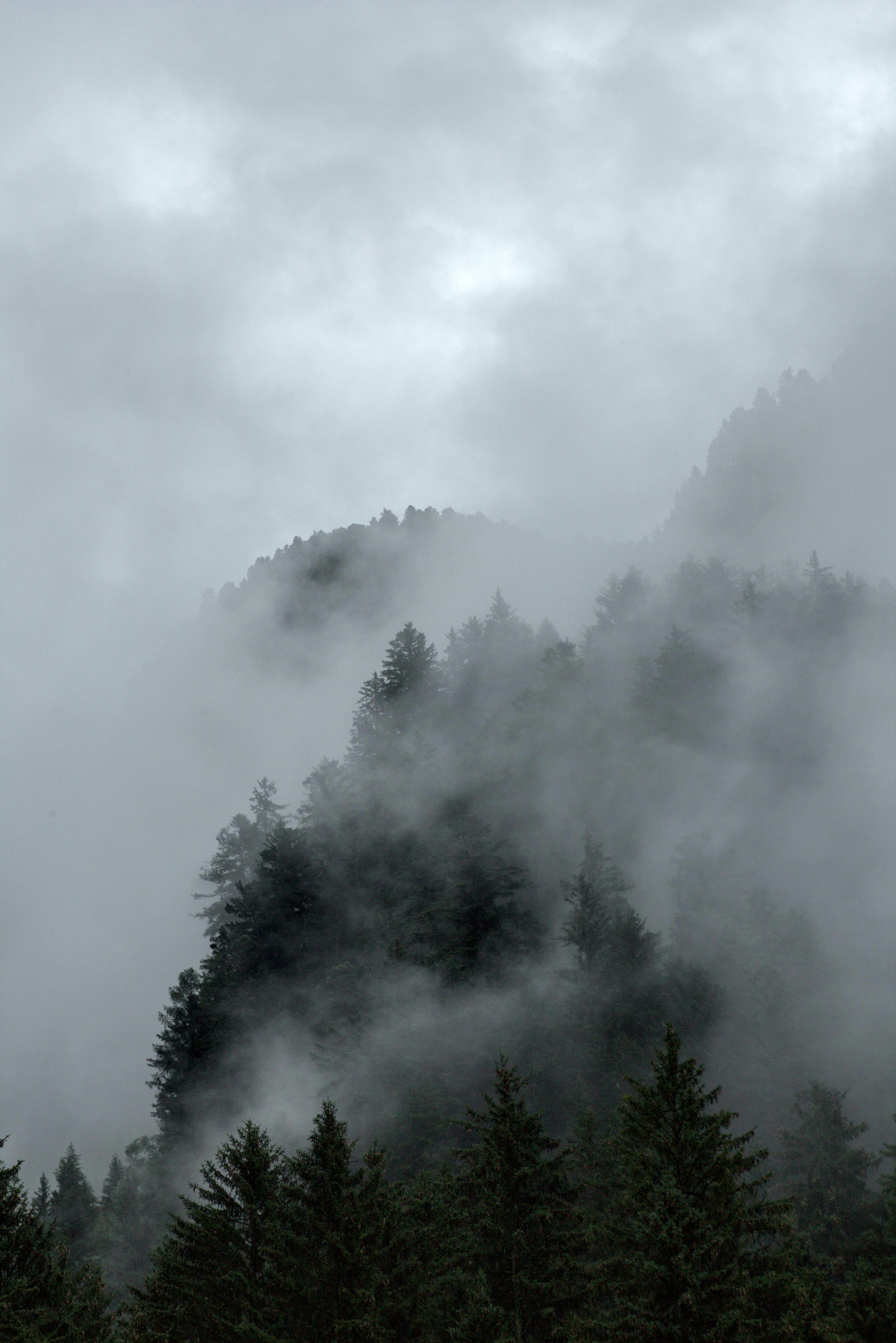 Photo by vulpyr_photography