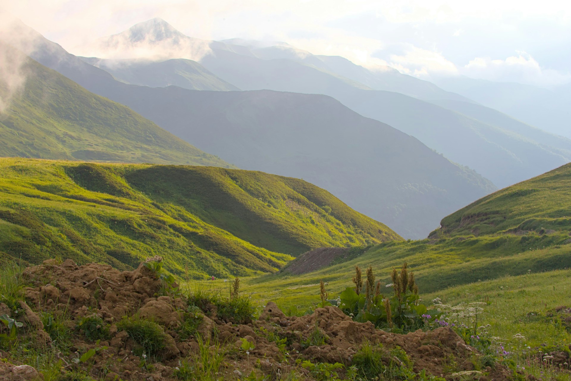 a lush green valley with mountains in the background