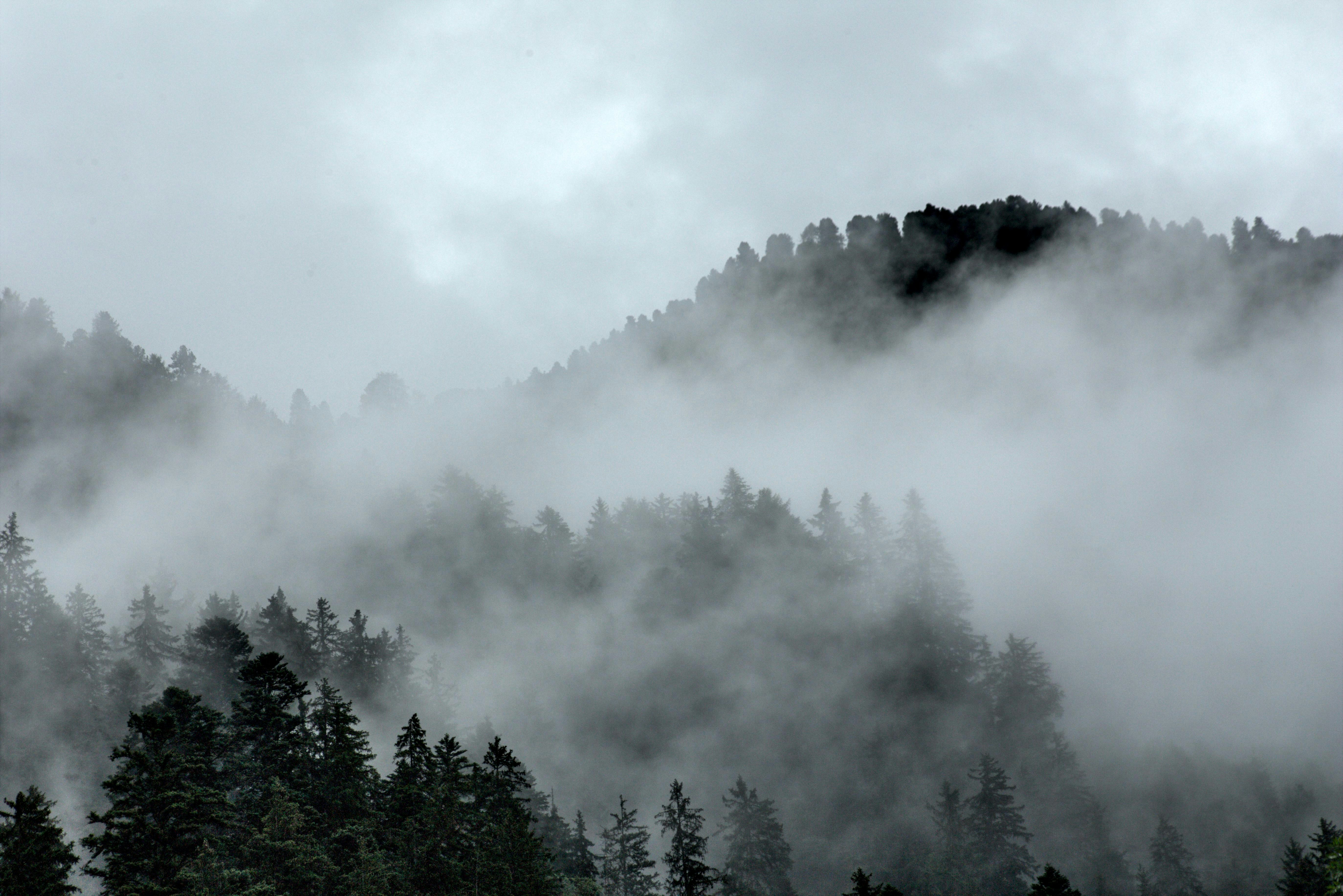 Photo by vulpyr_photography