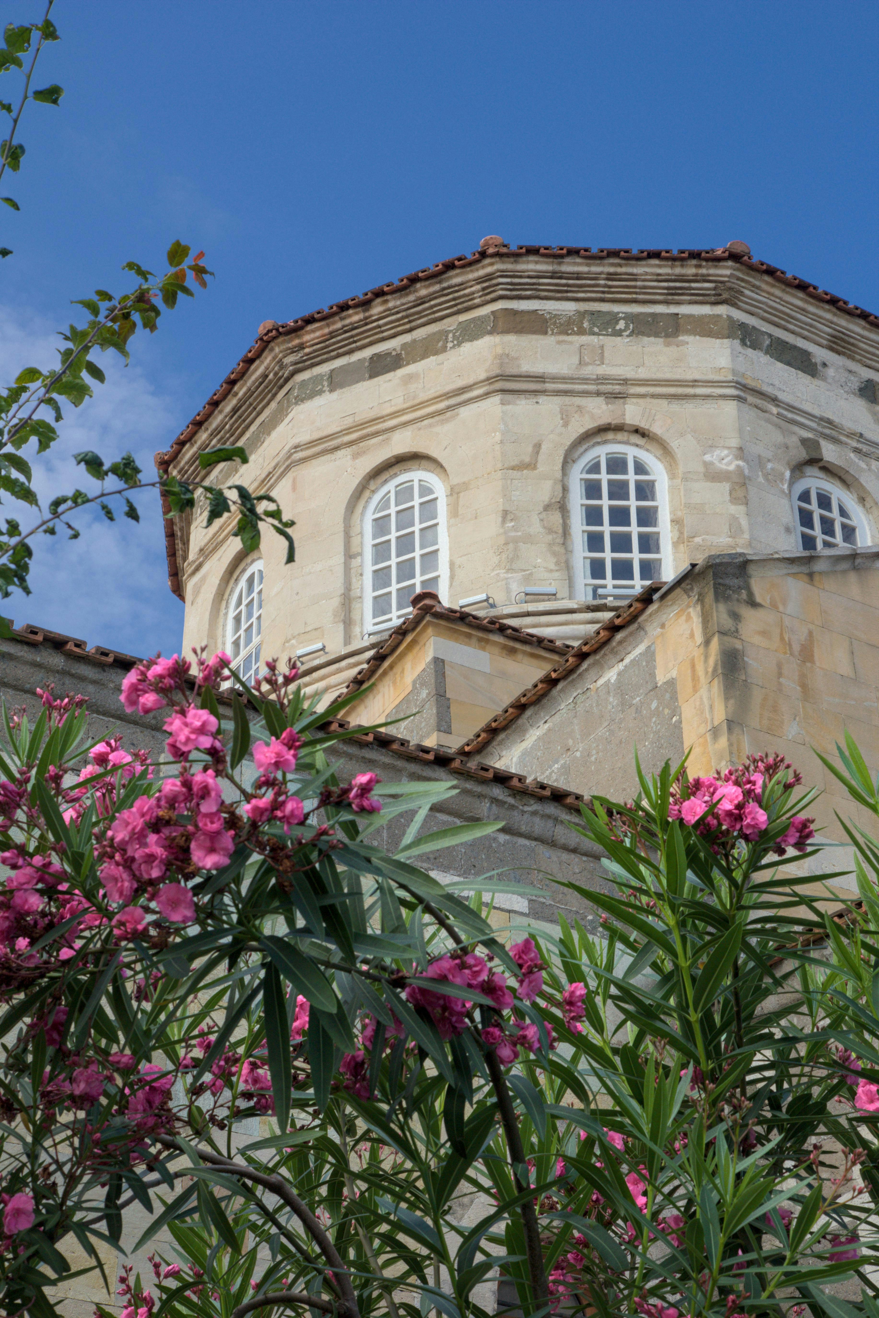 Photo by vulpyr_photography