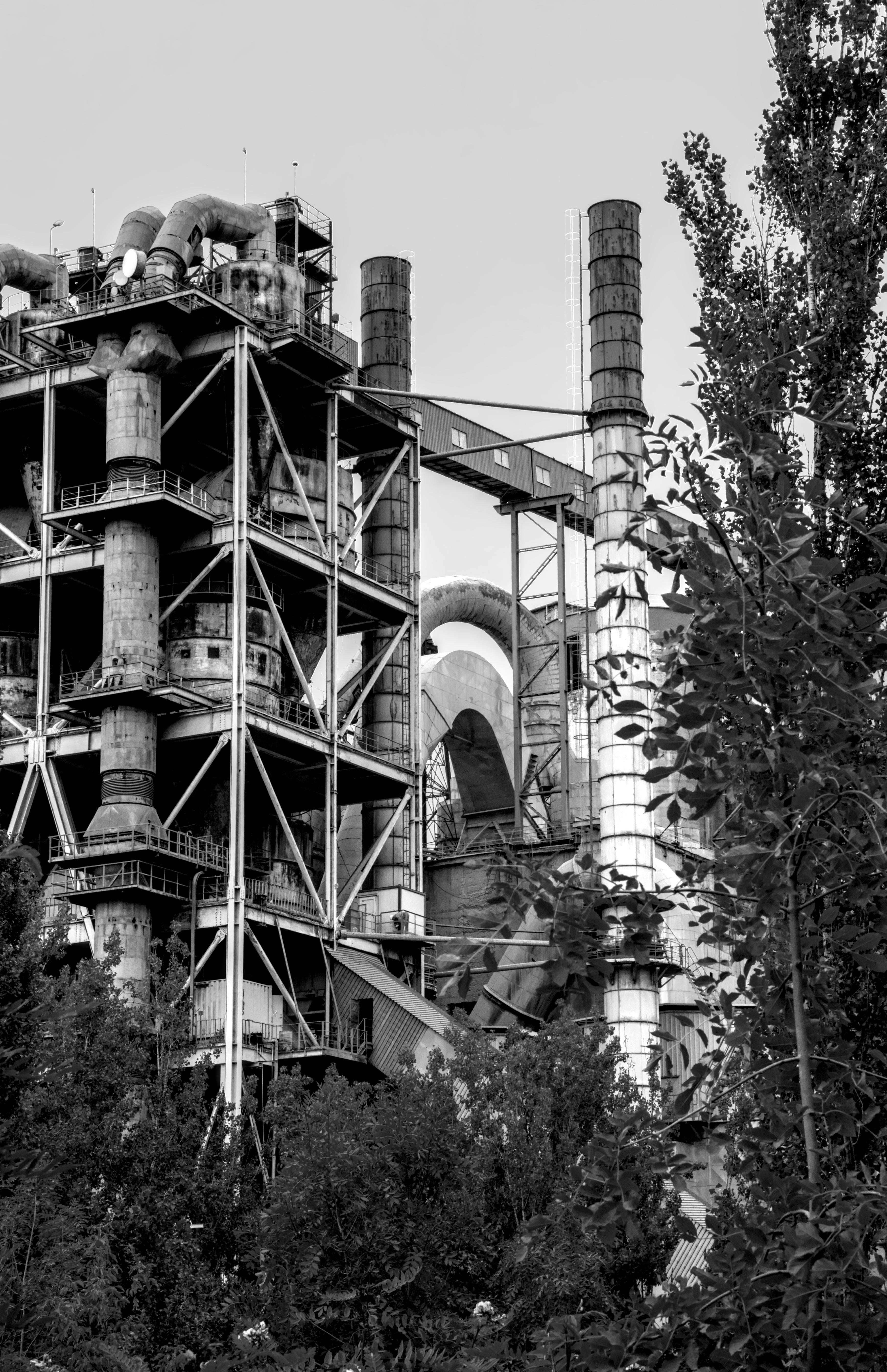 Photo by vulpyr_photography