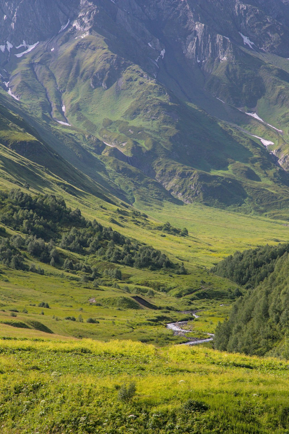 a mountain valley with a stream running through it