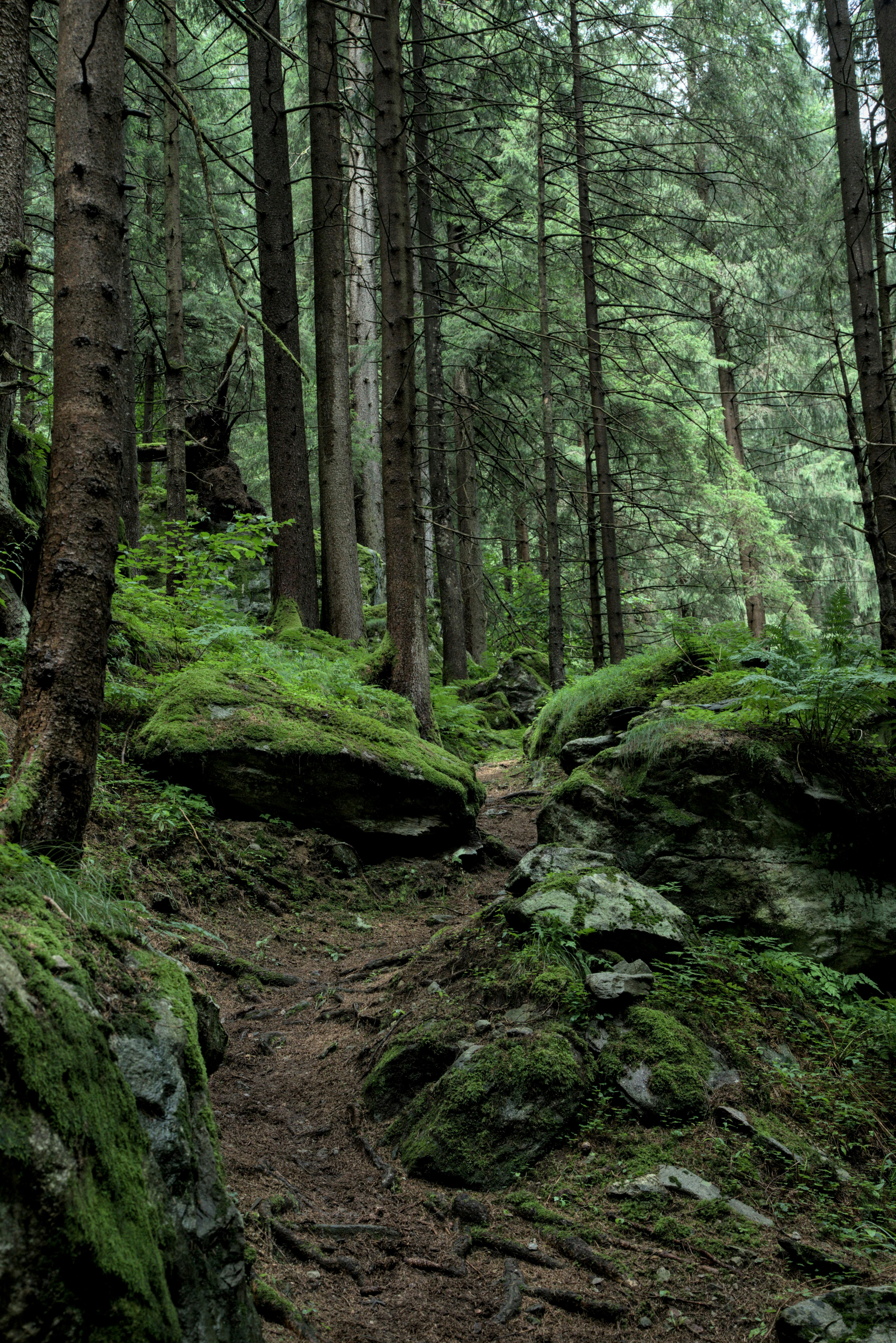 Photo by vulpyr_photography