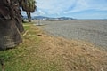 The image showcases a beachside area with a mixture of grass and rocky terrain. There are several palm trees on the left side, and in the background, there are buildings and mountains under a partly cloudy sky.