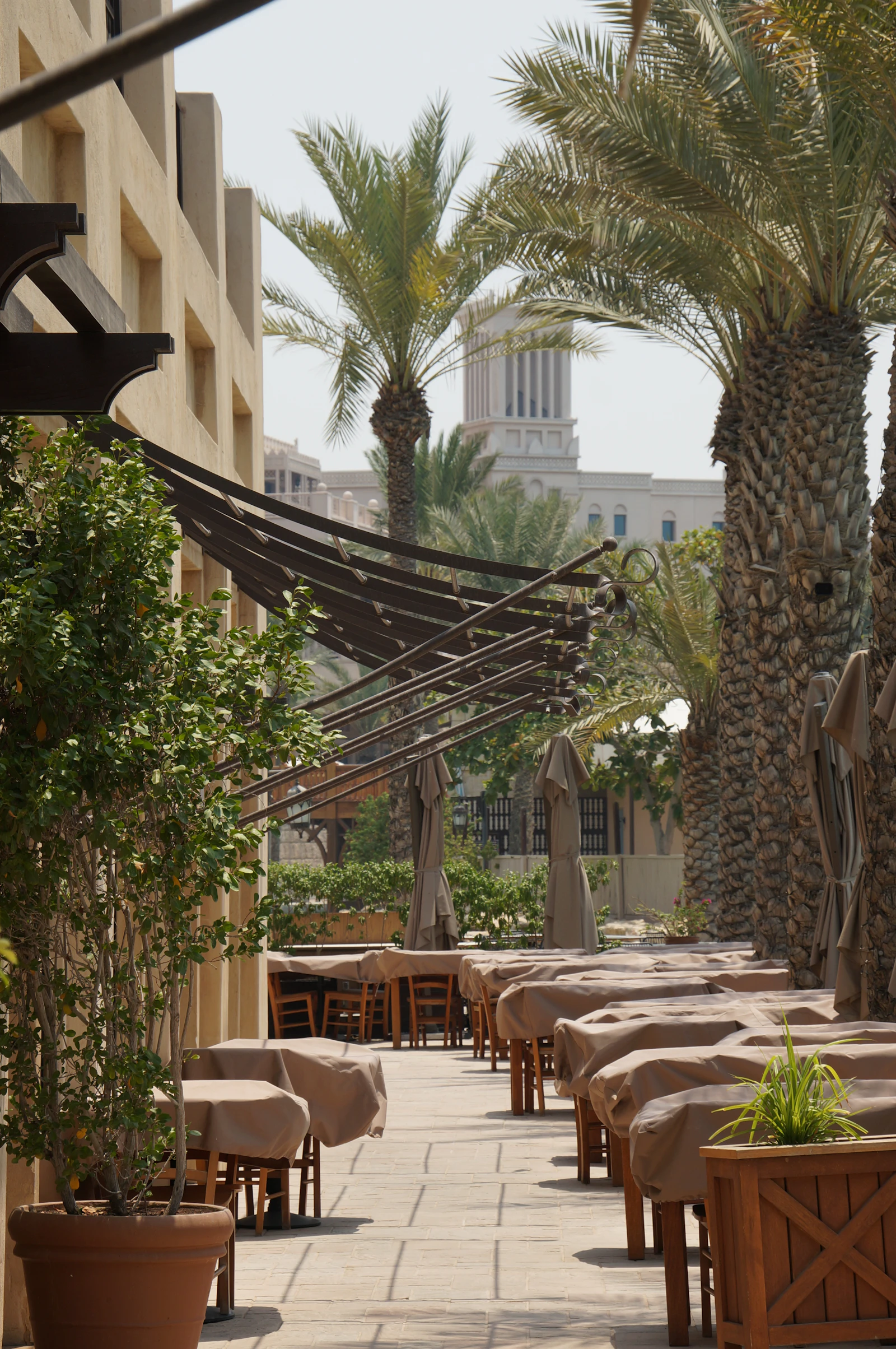 Outdoor restaurant terrace in Dubai under palm trees