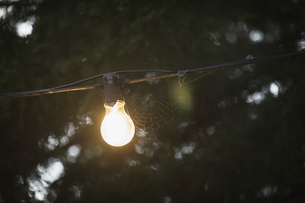 a light bulb hanging from a wire with trees in the background