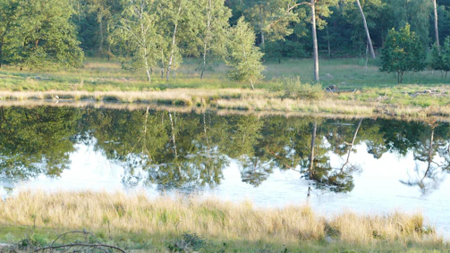 A peaceful pond reflecting the surrounding forest within the preserve.