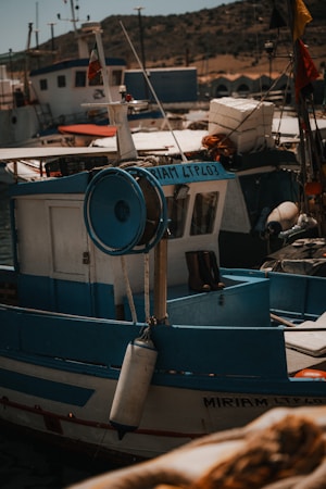 Your Guide to Tampa Bay Fishing Charters