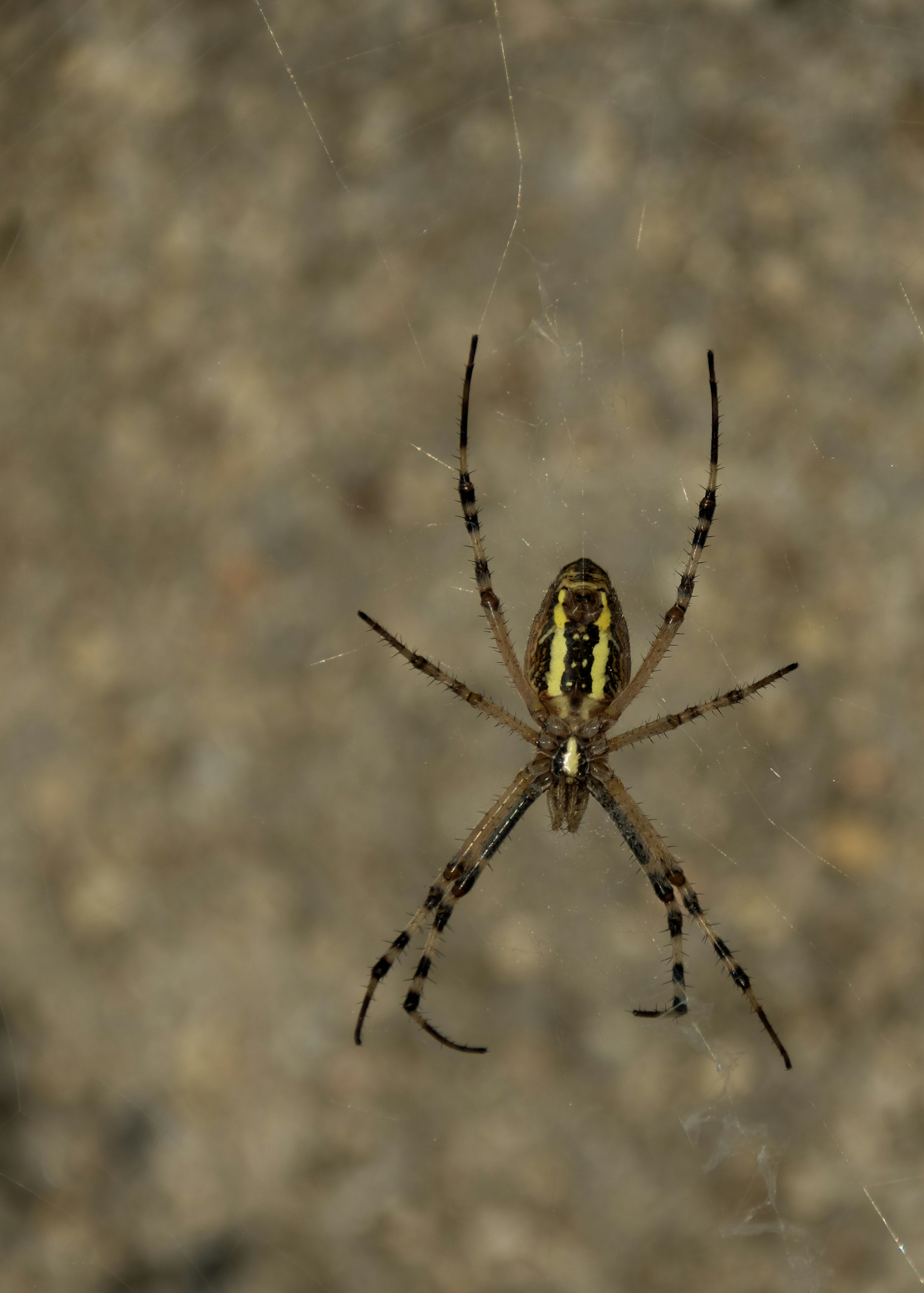 Photo by mariobeducci